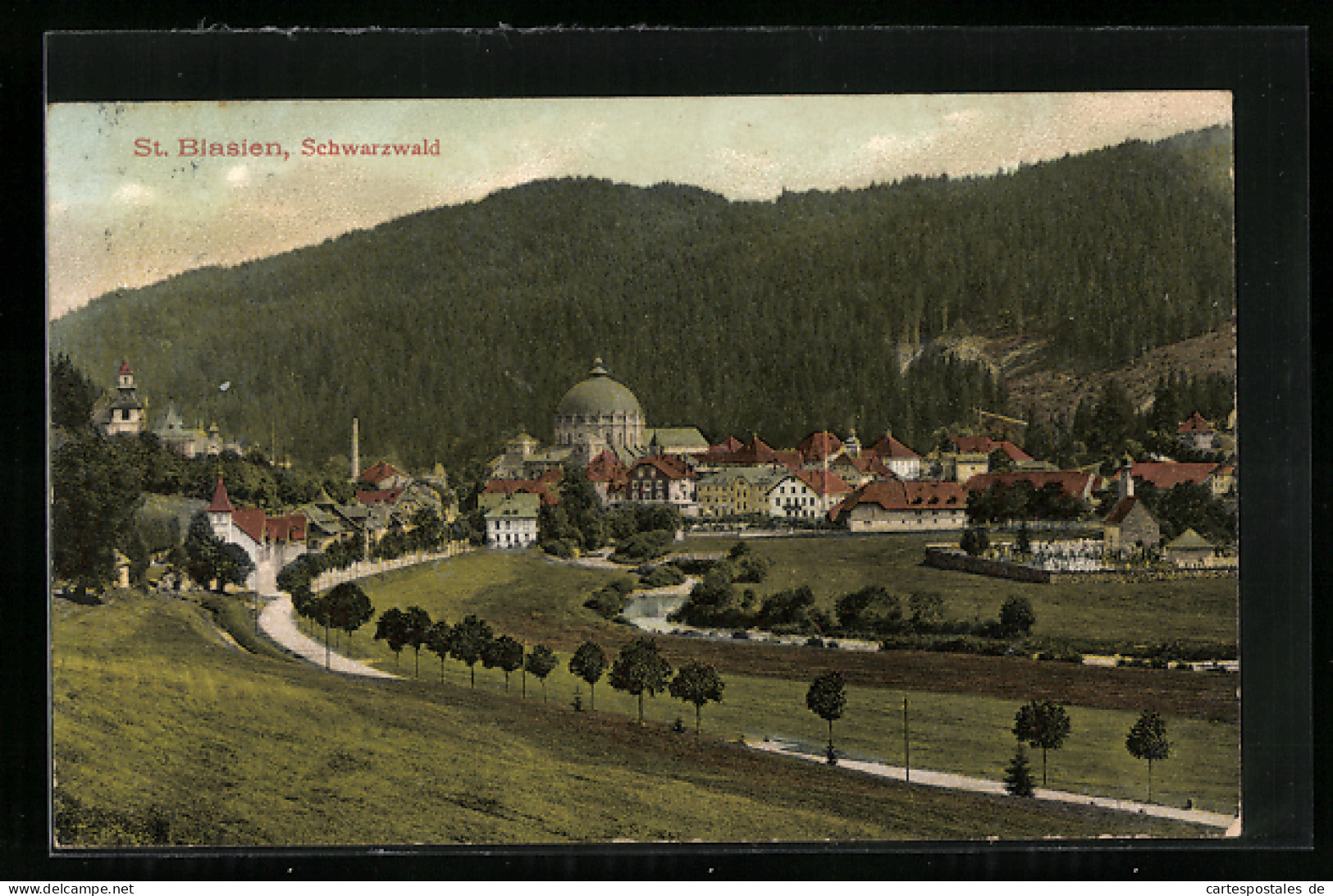 AK St. Blasien Im Schwarzwald, Panorama Der Stadt  - St. Blasien