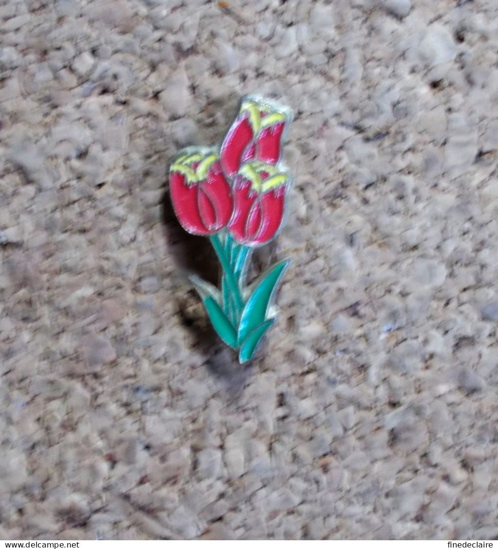Pin's - Fleur Tulipe Rouge Orangé Et Jaune - Other & Unclassified