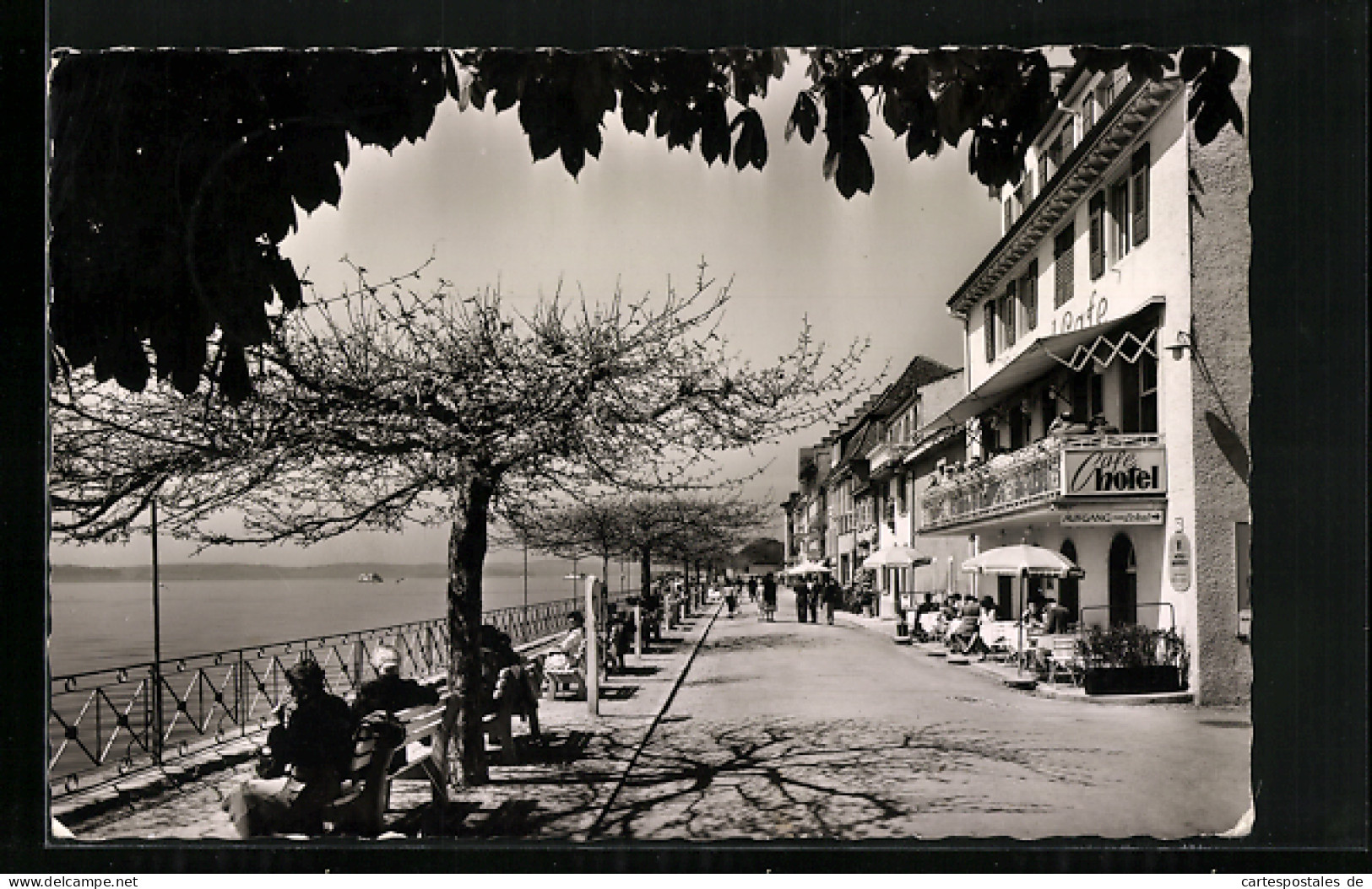 AK Meersburg Am Bodensee, Auf Der Seepromenade  - Meersburg