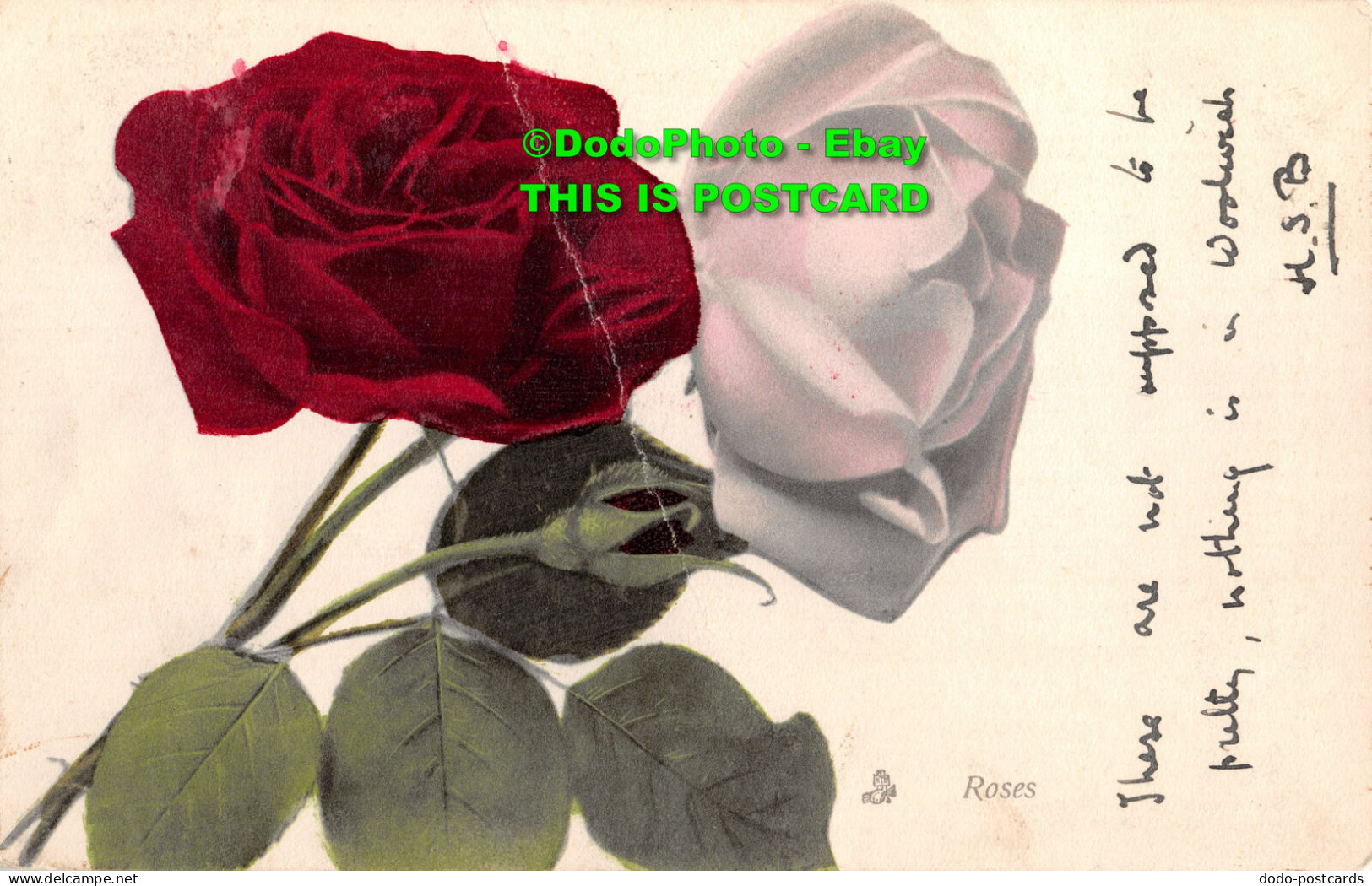 R417628 Roses. Tuck. Flower Series. No. 6903. 1906 - Monde