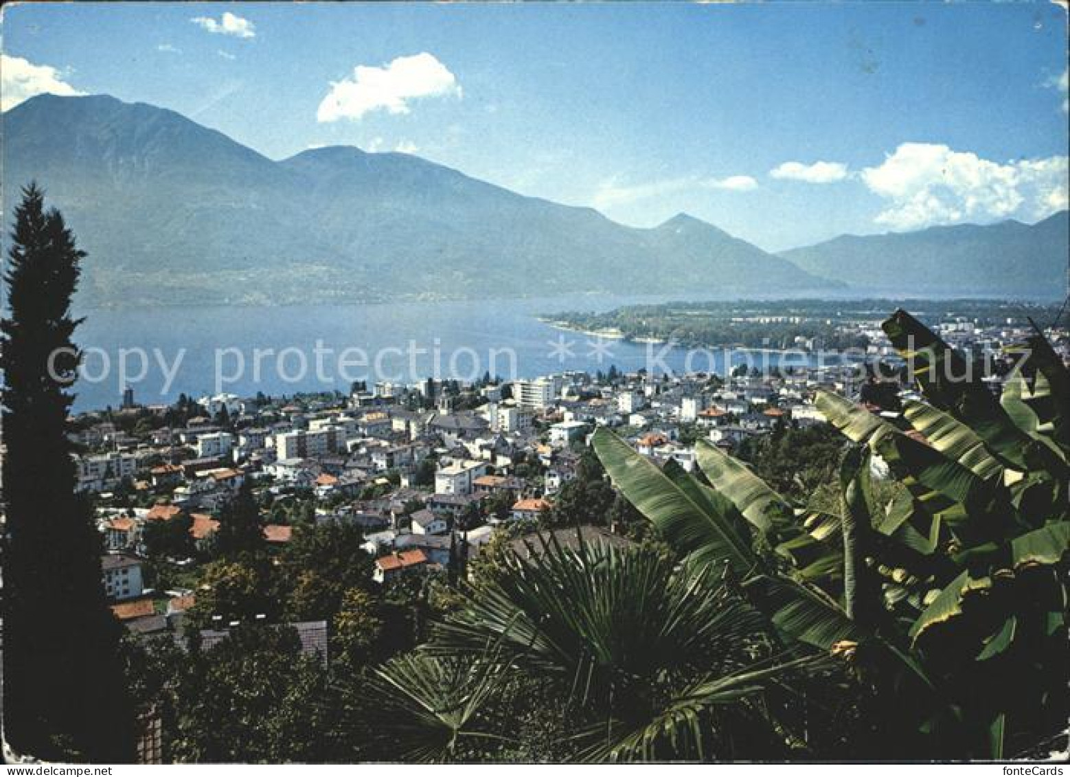 11879177 Minusio Locarno TI Lago Maggiore Minusio - Autres & Non Classés