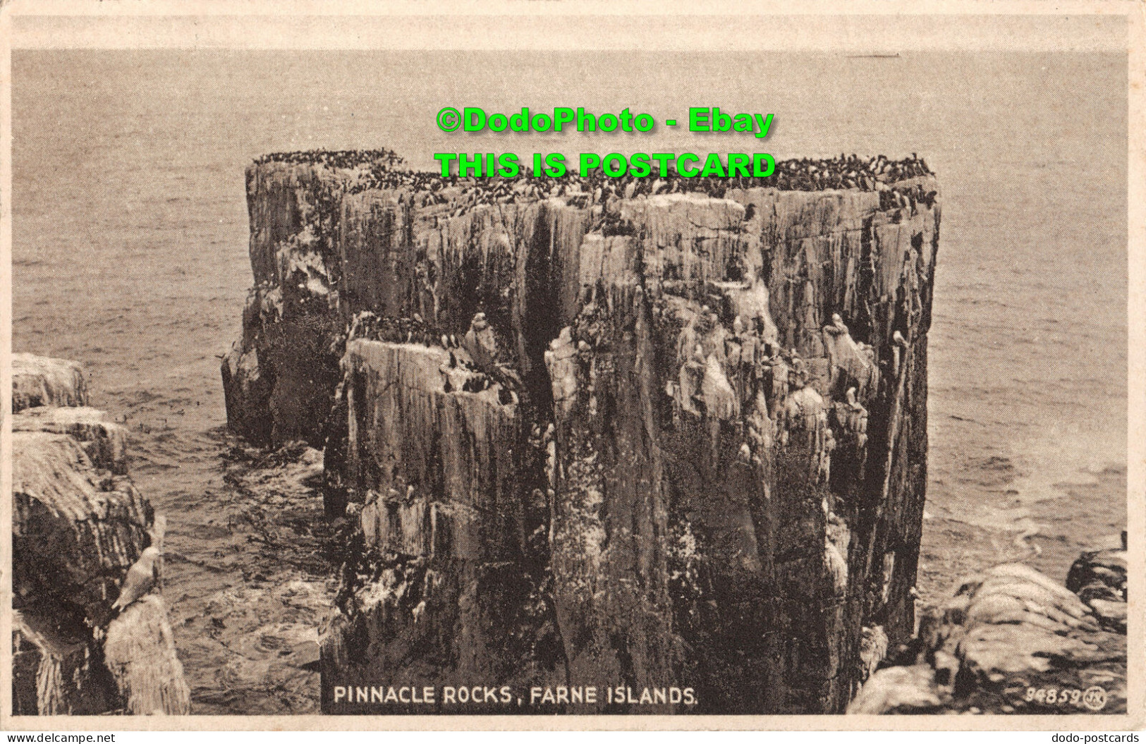 R417632 Farne Islands. Pinnacle Rocks. A. Ord. Post Office - Monde