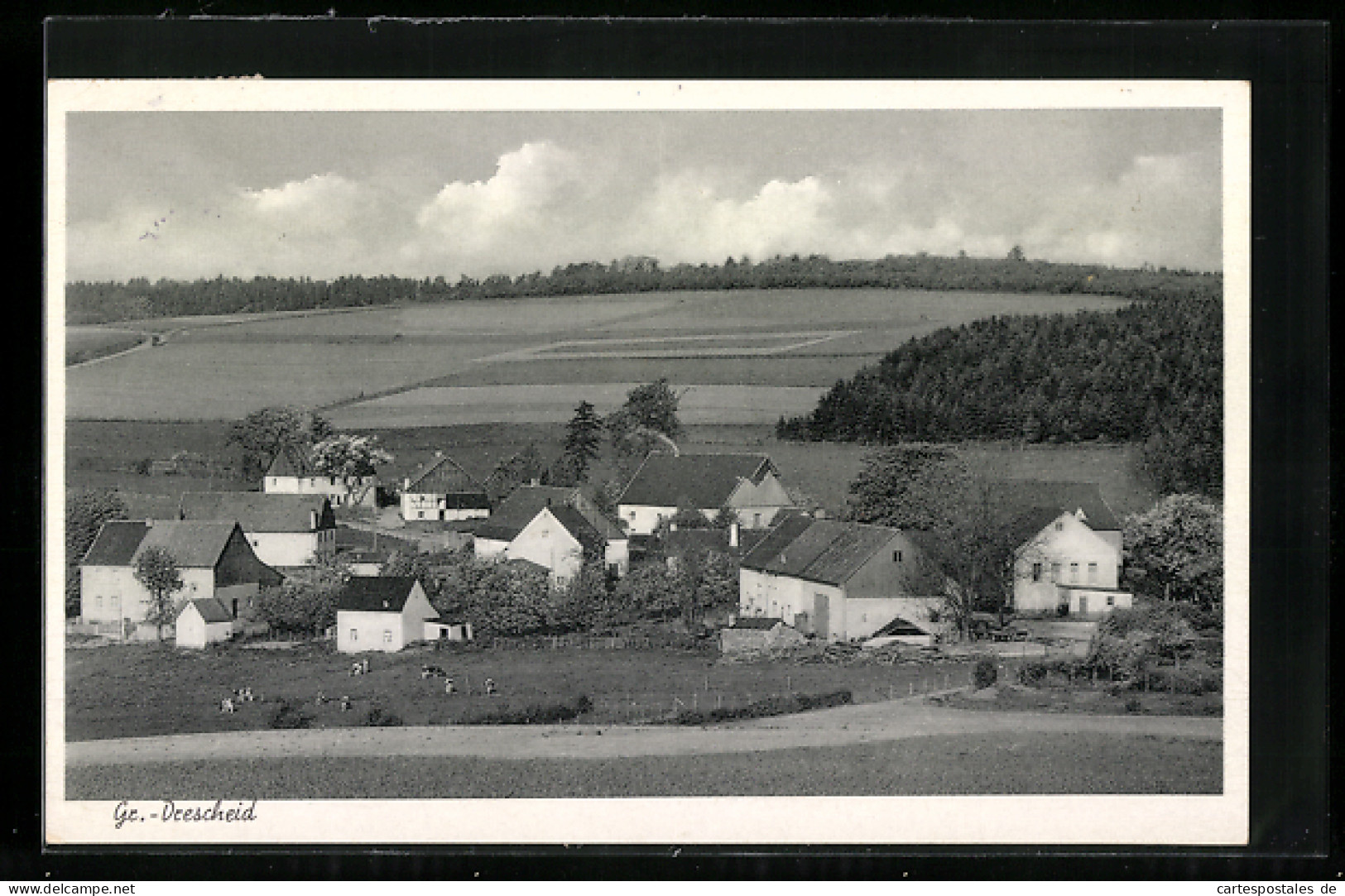 AK Grossen-Drescheid, Blick Auf Die Wohnhäuser, Gaststätte Fr. Spelsberg  - Altri & Non Classificati