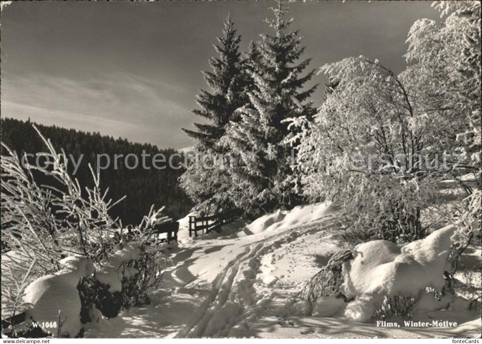 11878527 Flims Waldhaus Waldweg Flims Waldhaus - Sonstige & Ohne Zuordnung