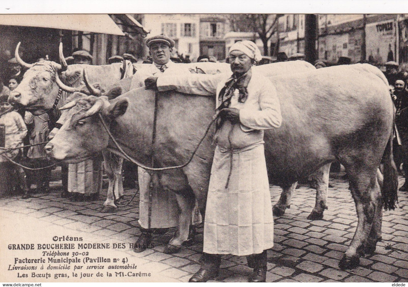 Boucherie Exposition De Boeufs Gras Mi Careme Elevage Bovin Cattle - Händler