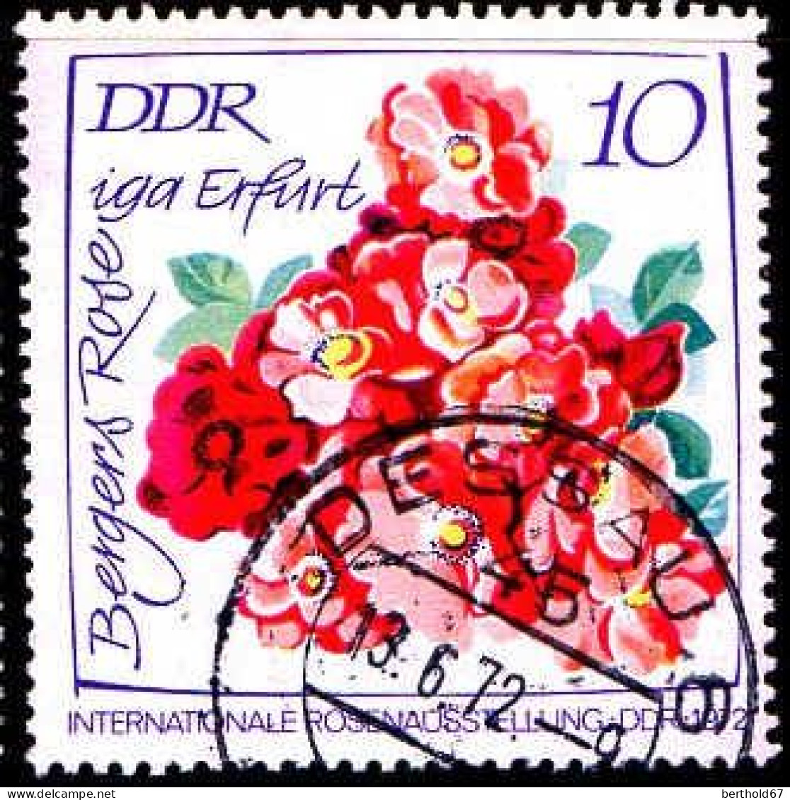 Rda Poste Obl Yv:1451 Mi:1764 Bergers Rose Iga Erfurt Dessau 13-6-72 (TB Cachet à Date) - Roses