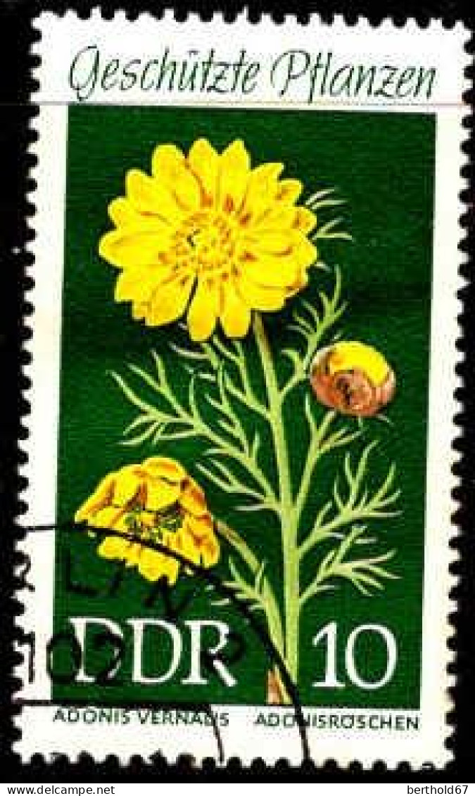 Rda Poste Obl Yv:1153 Mi:1457 Adonis Vernalis (TB Cachet Rond) - Altri & Non Classificati