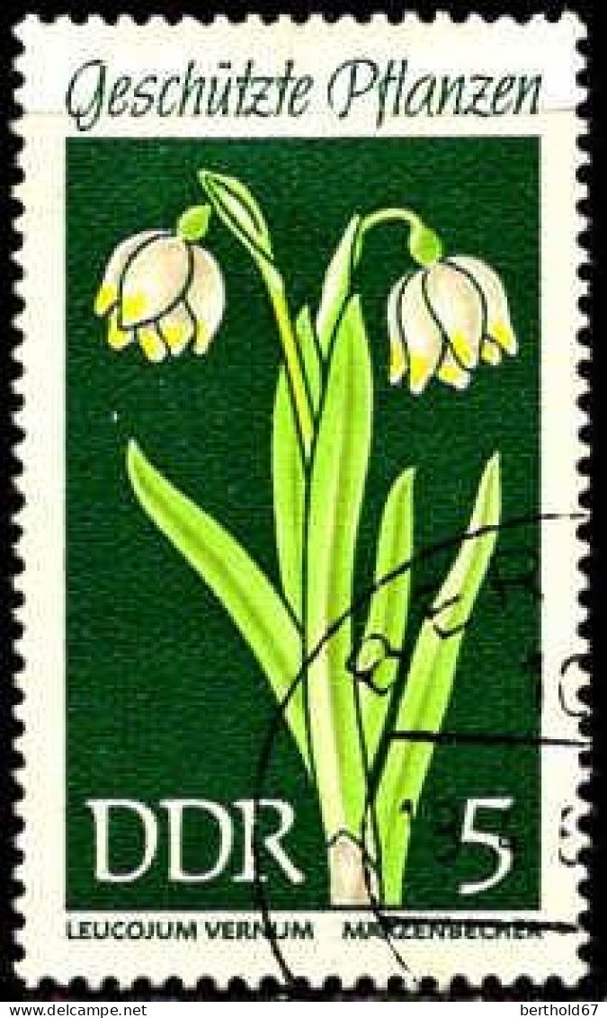 Rda Poste Obl Yv:1152 Mi:1456 Leucojum Vernum Märzenbecher (TB Cachet Rond) - Other & Unclassified