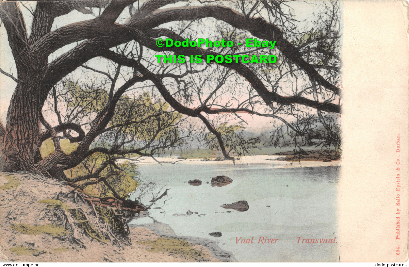 R417801 Vaal River. Transvaal. Sallo Epstein - Monde