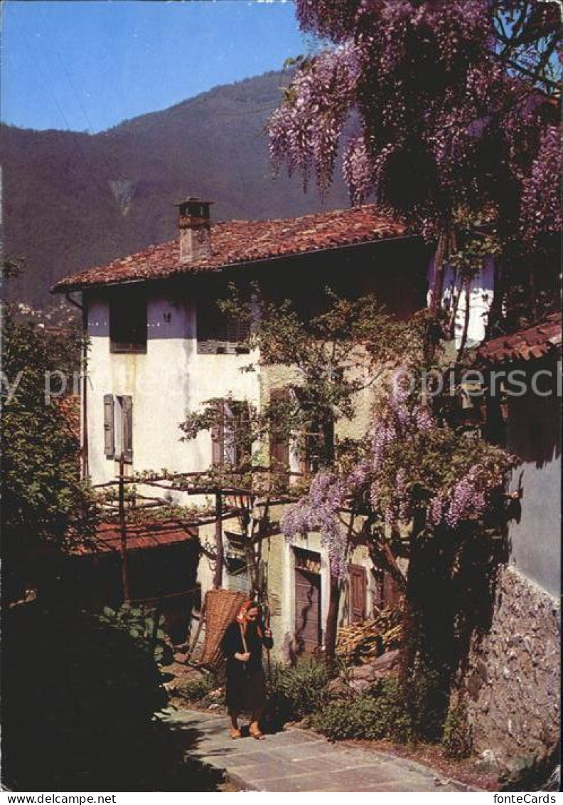 11877857 Cadempino Il Ticino Pittoresco Cadempino - Sonstige & Ohne Zuordnung