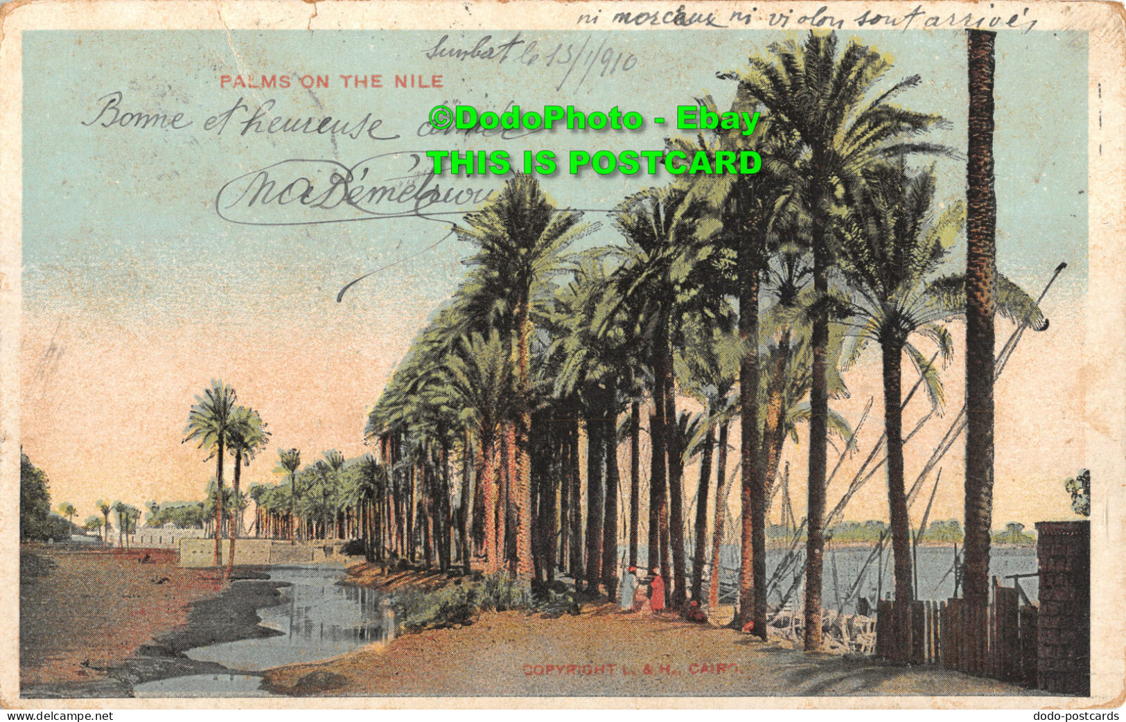 R417826 Palms On The Nile. I. And H. Postcard. 1910 - Monde