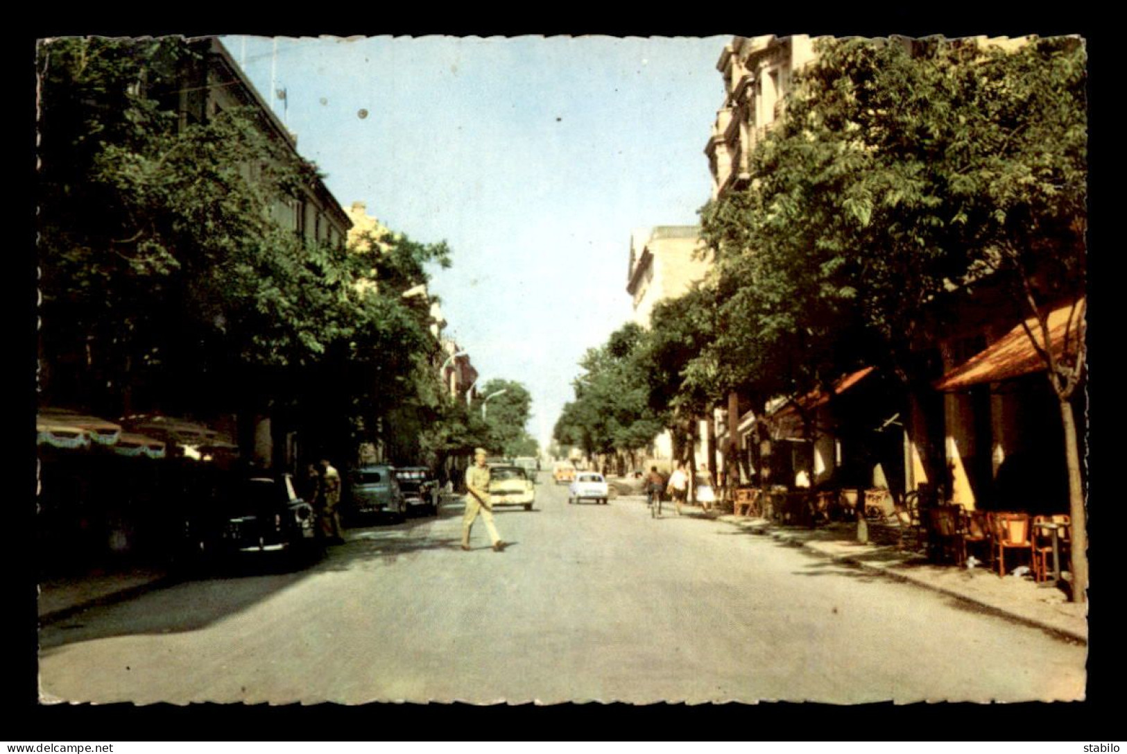 ALGERIE - SETIF - AVENUE GEORGES CLEMENCEAU - Sétif