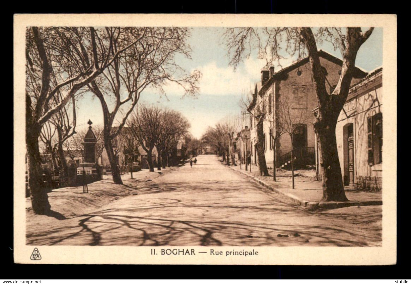 ALGERIE - BOGHAR - RUE PRINCIPALE - Autres & Non Classés