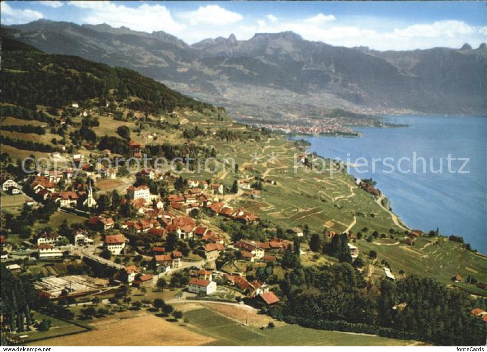 11877587 Chexbres Balcon Du Leman Chexbres - Autres & Non Classés