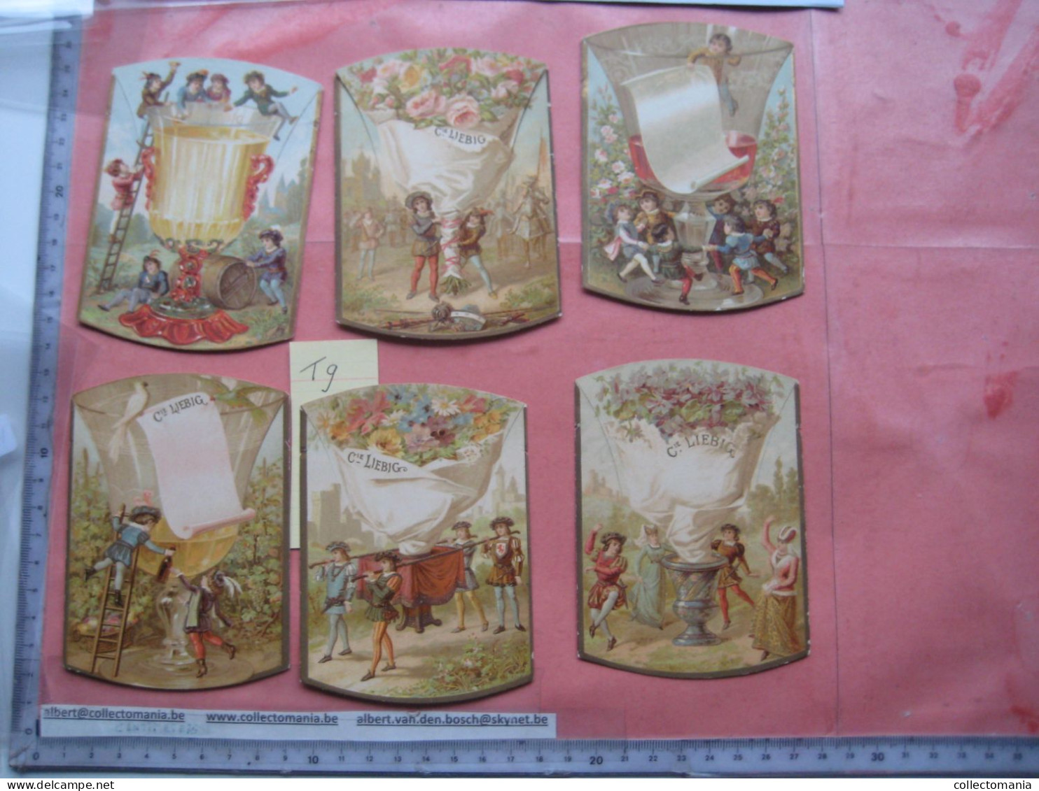 6 Cartes Chromos, 1893, Liebig Compagnie Cmplete Set  Tischkarten, Cartes De Table Nr 9 - Floral Bouquets - Liebig