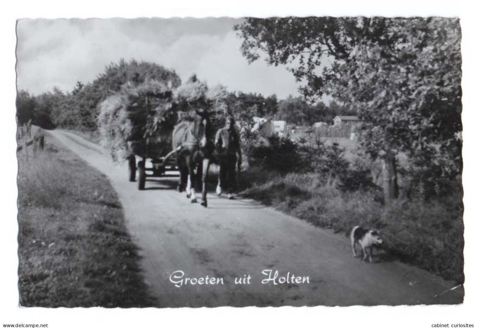 Groeten Uit HOLTEN - Nederland - Pays-Bas - Charrette De Blé - Attelage De Cheval - Animée - Holten