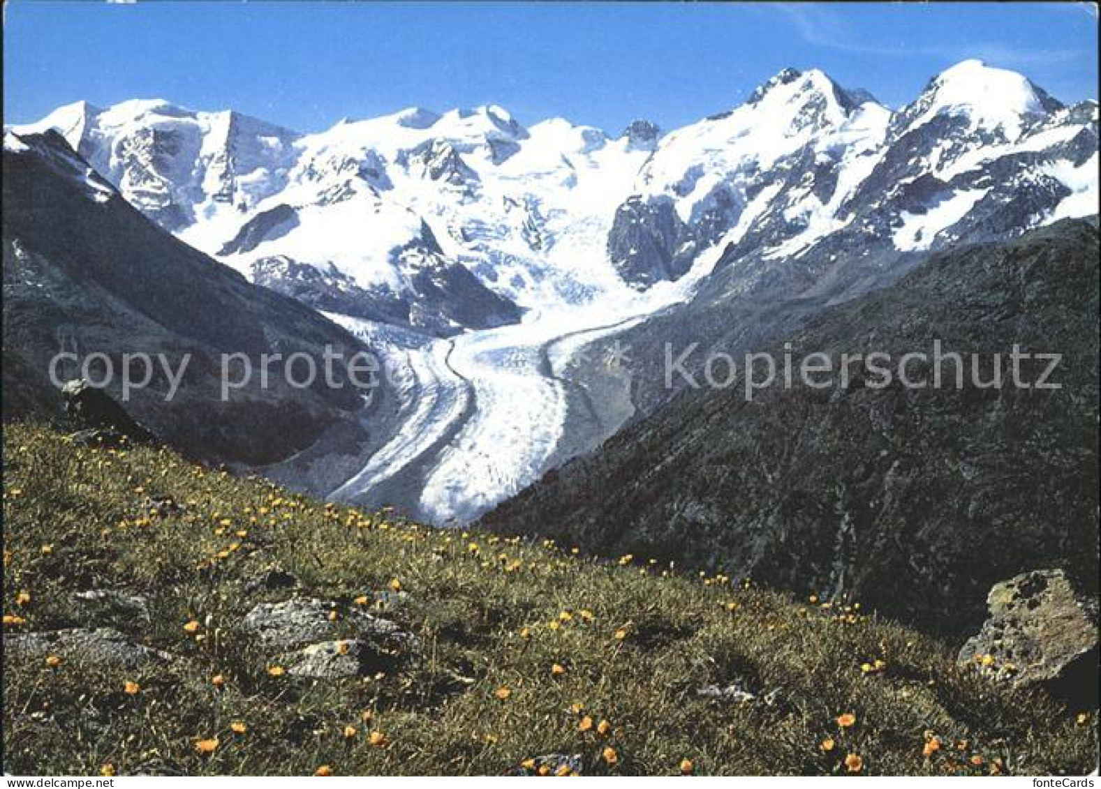 11875037 Pontresina Blick Von Der Paradishuette Auf Berninagruppe Und Morteratsc - Sonstige & Ohne Zuordnung