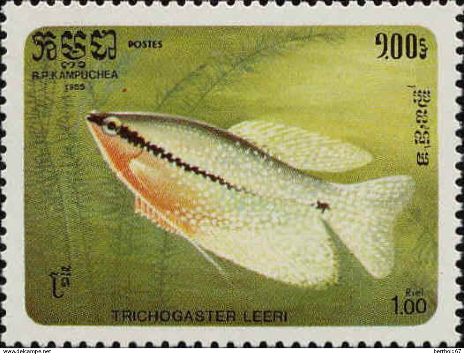 Cambodge Poste N** Yv: 597/603 Poissons Exotiques - Kampuchea