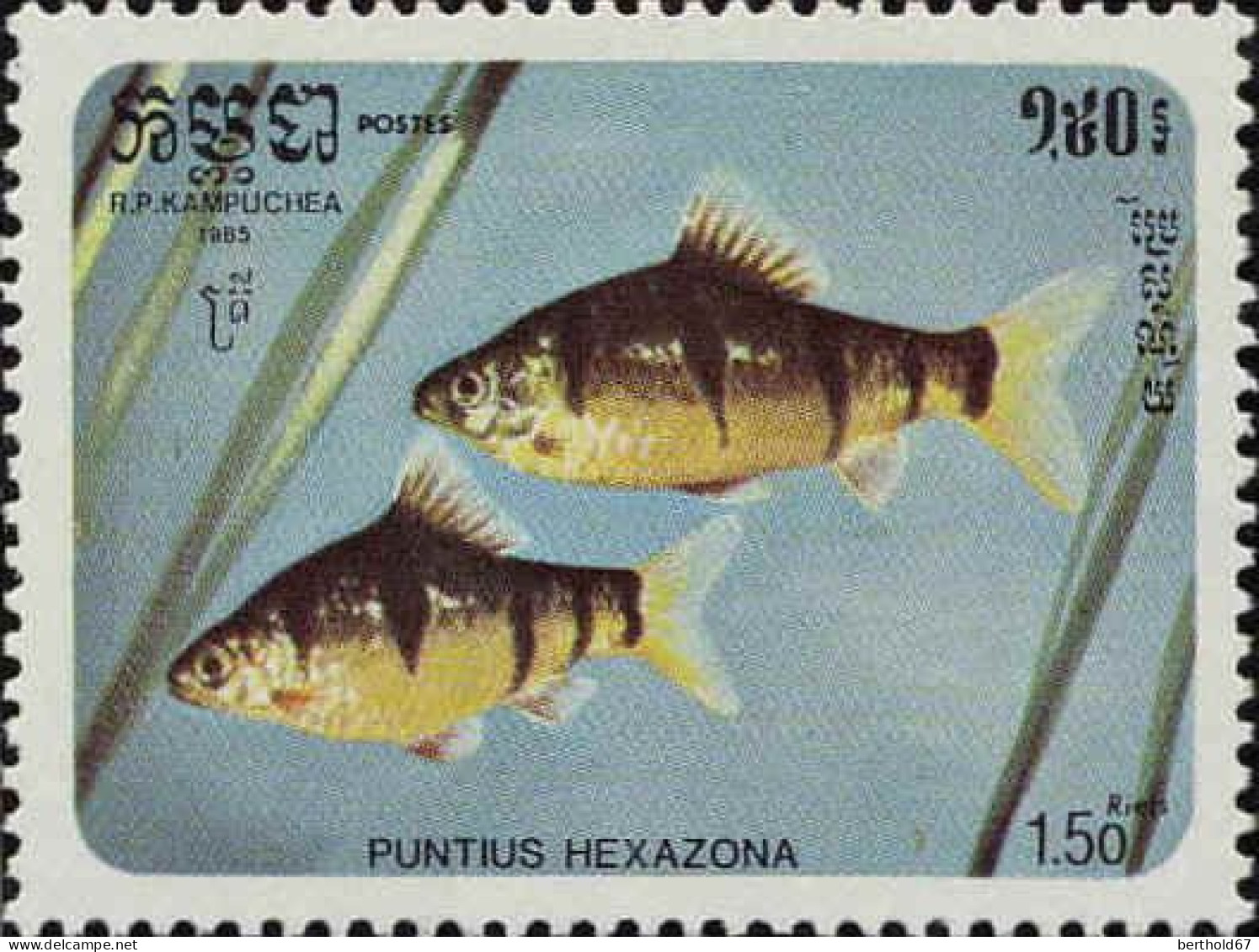 Cambodge Poste N** Yv: 597/603 Poissons Exotiques - Kampuchea