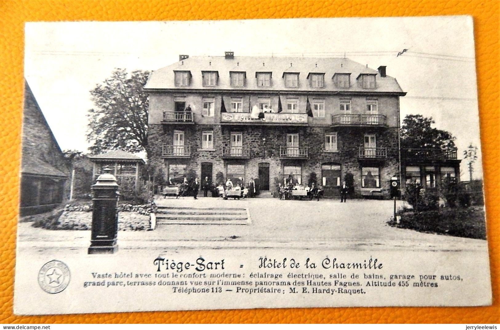TIEGE-SART  -  Hôtel De La Charmille - Jalhay
