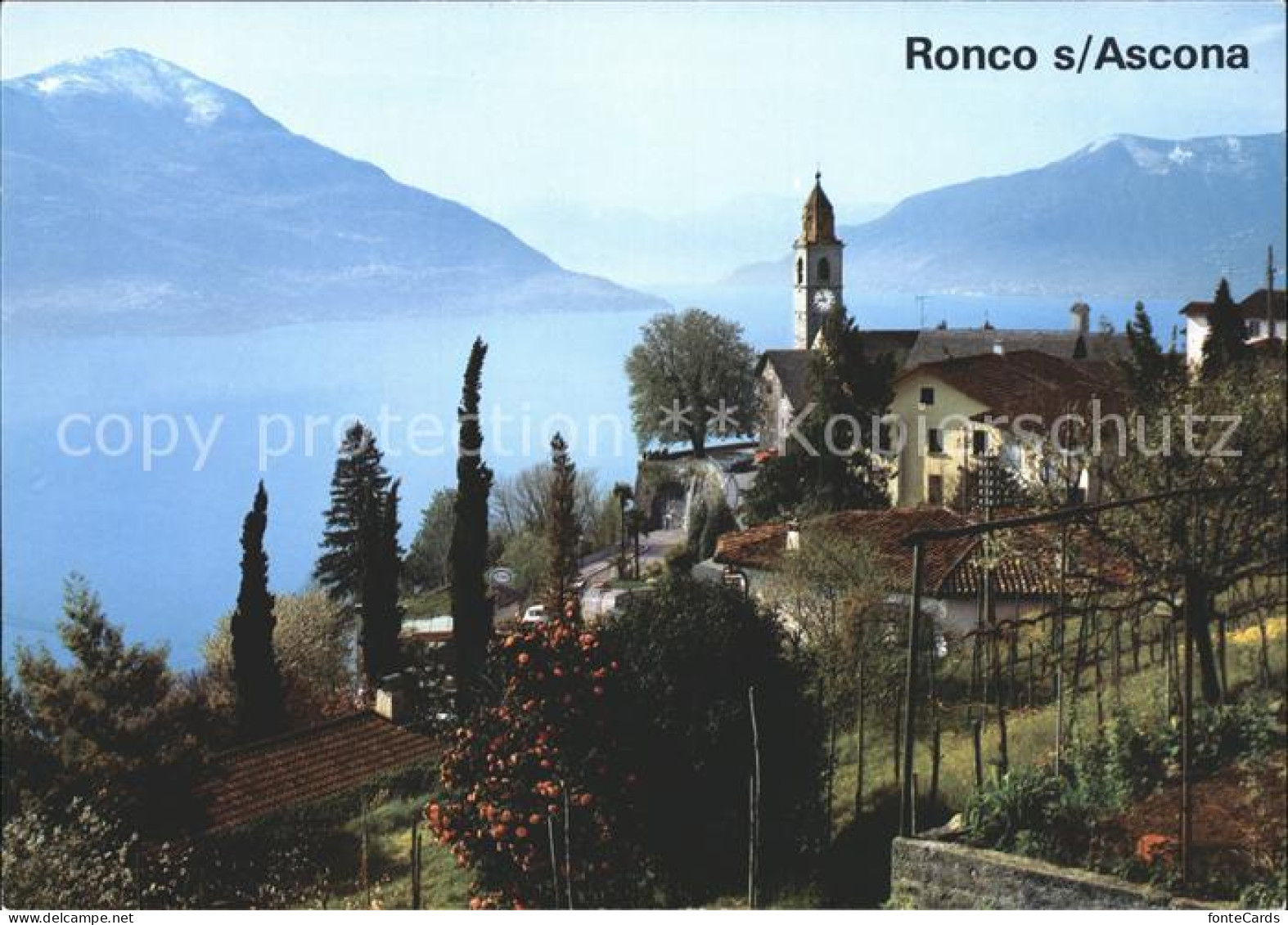 11867306 Ronco TI Mit Lago Maggiore  - Sonstige & Ohne Zuordnung