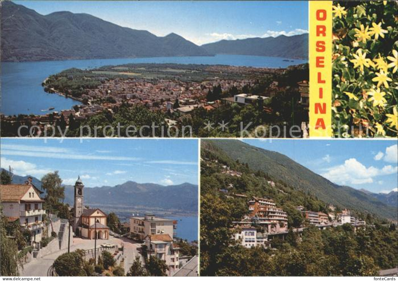 11867256 Orselina TI Mit Lago Maggiore Orselina - Andere & Zonder Classificatie