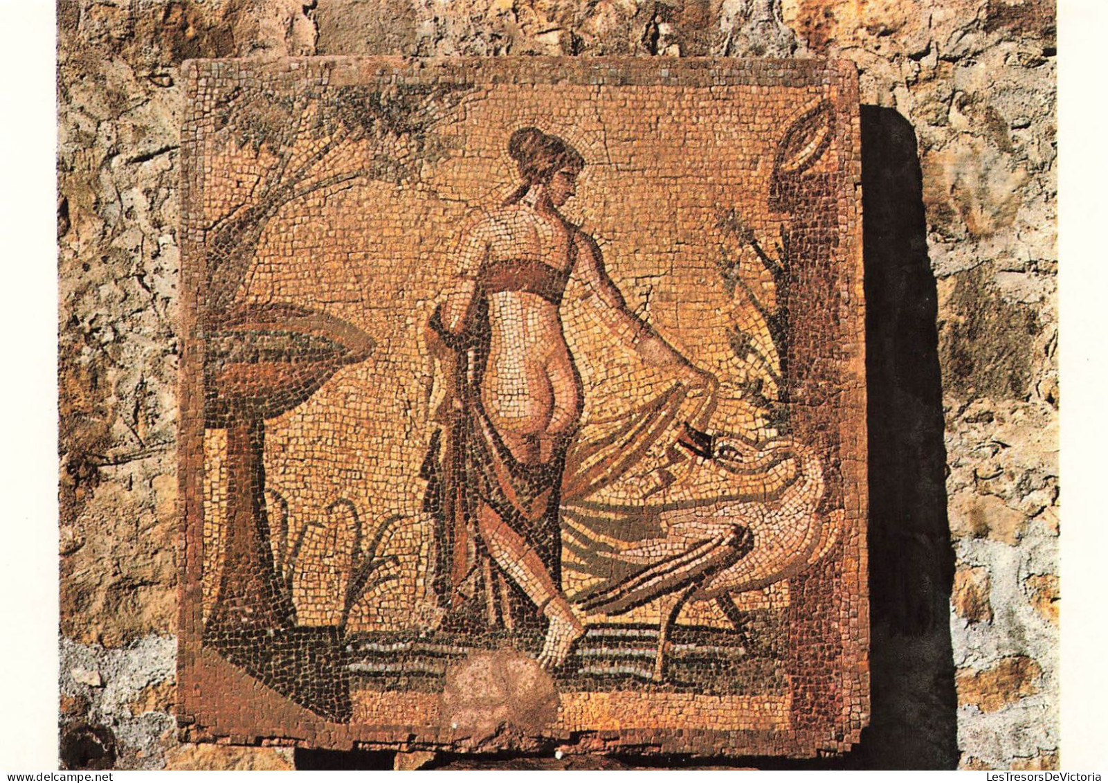 CHYPRE - Paphos - Leda Et Le Cygne - Mosaïque De La Vieille Paphos - 3ème Siècle Ap. J.C - Colorisé - Carte Postale - Cyprus