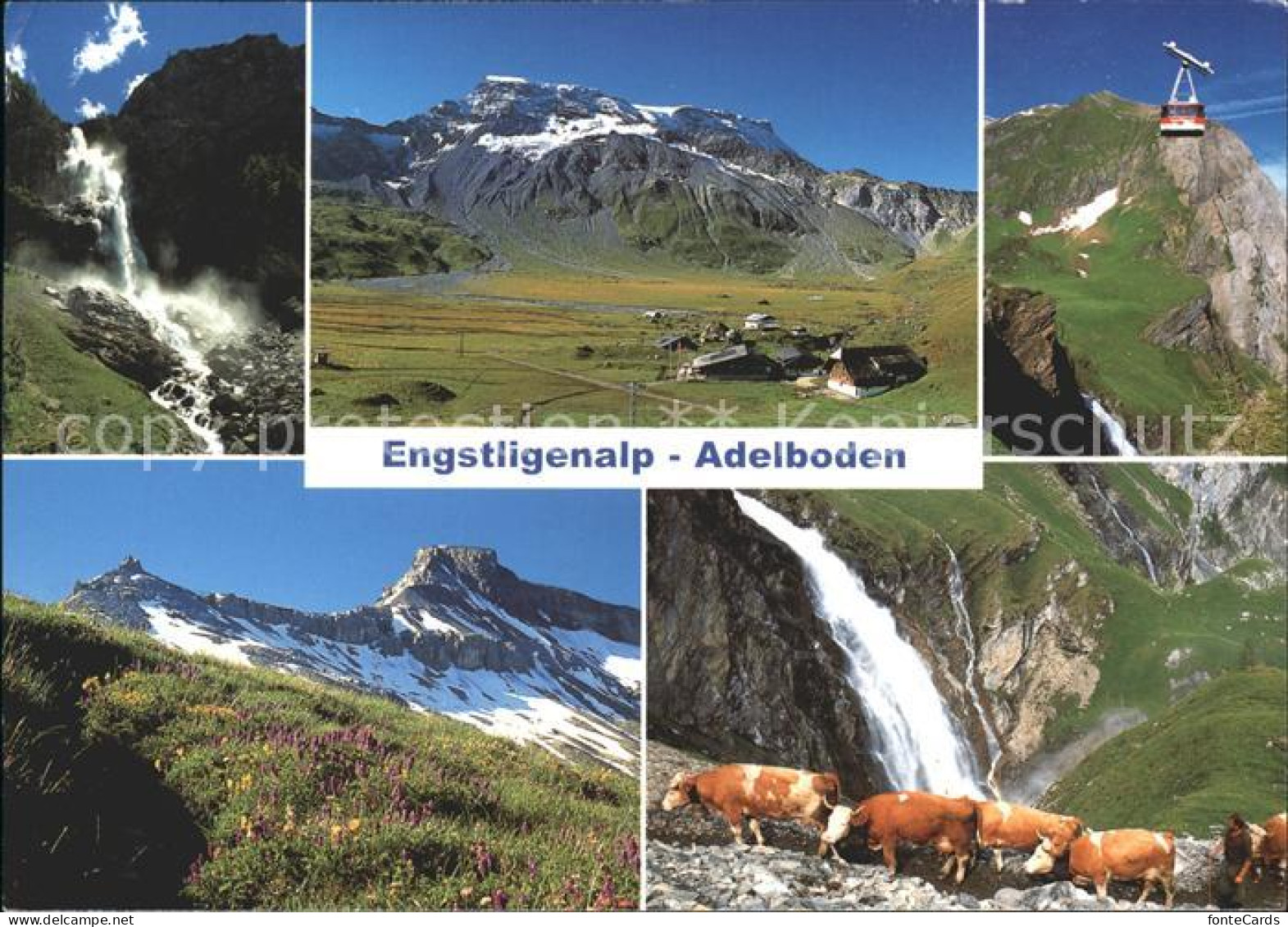 11867026 Adelboden Engstligenalp Seilbahn Kuehe Wasserfall Adelboden BE - Sonstige & Ohne Zuordnung