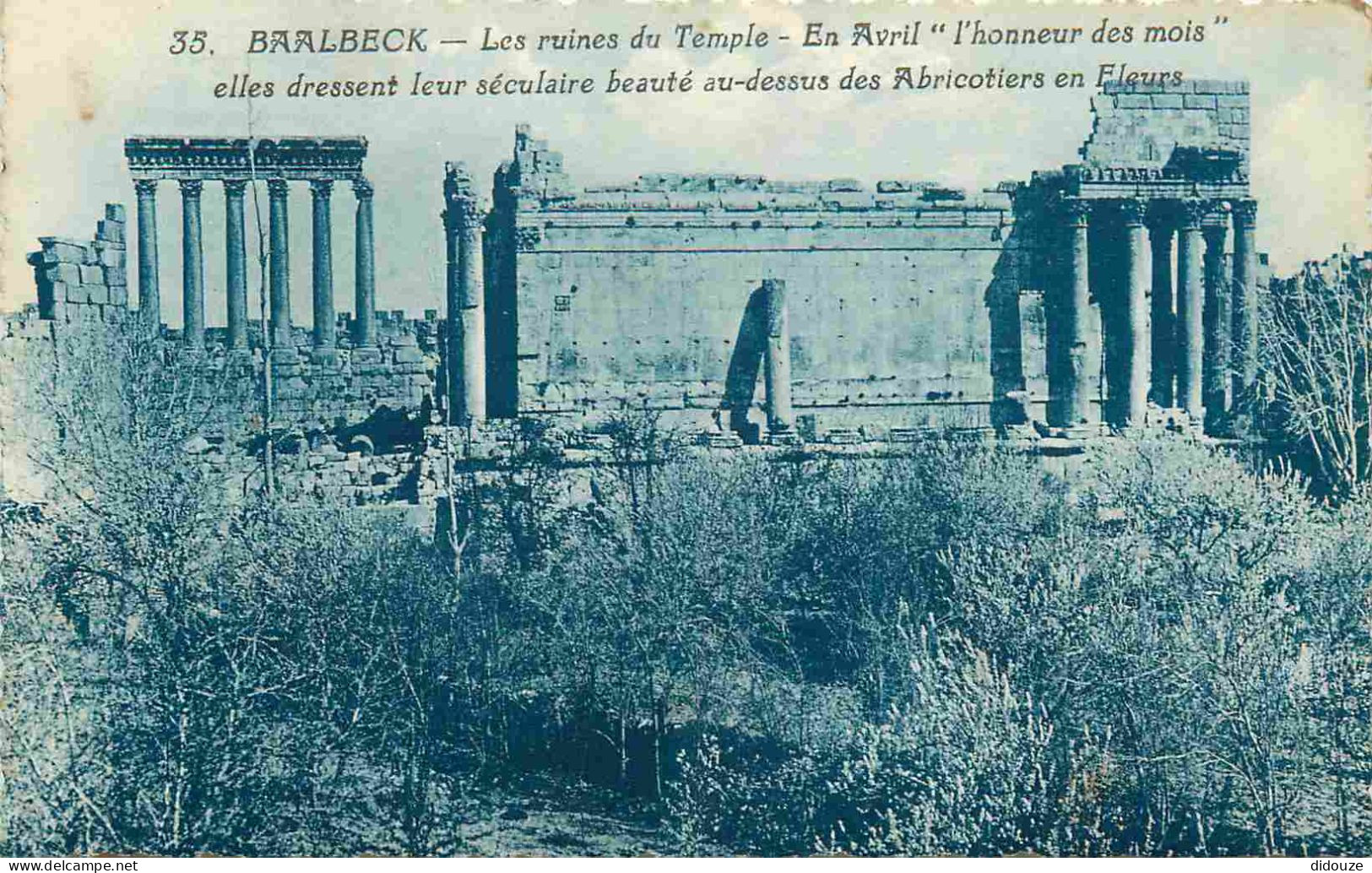 Liban - Baalbeck - Les Ruines Du Temple - Correspondance - Antiquité - Carte Dentelée - CPA - Voir Scans Recto-Verso - Liban