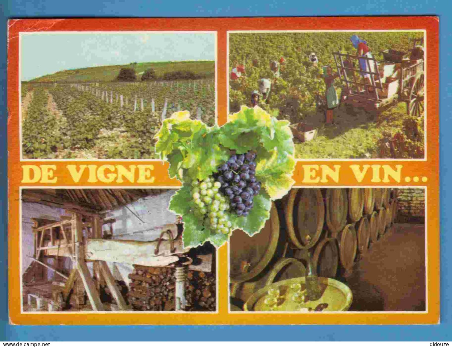 Vignes - De Vigne En Vin - Multivues - Ecrite En 2002 - Viñedos