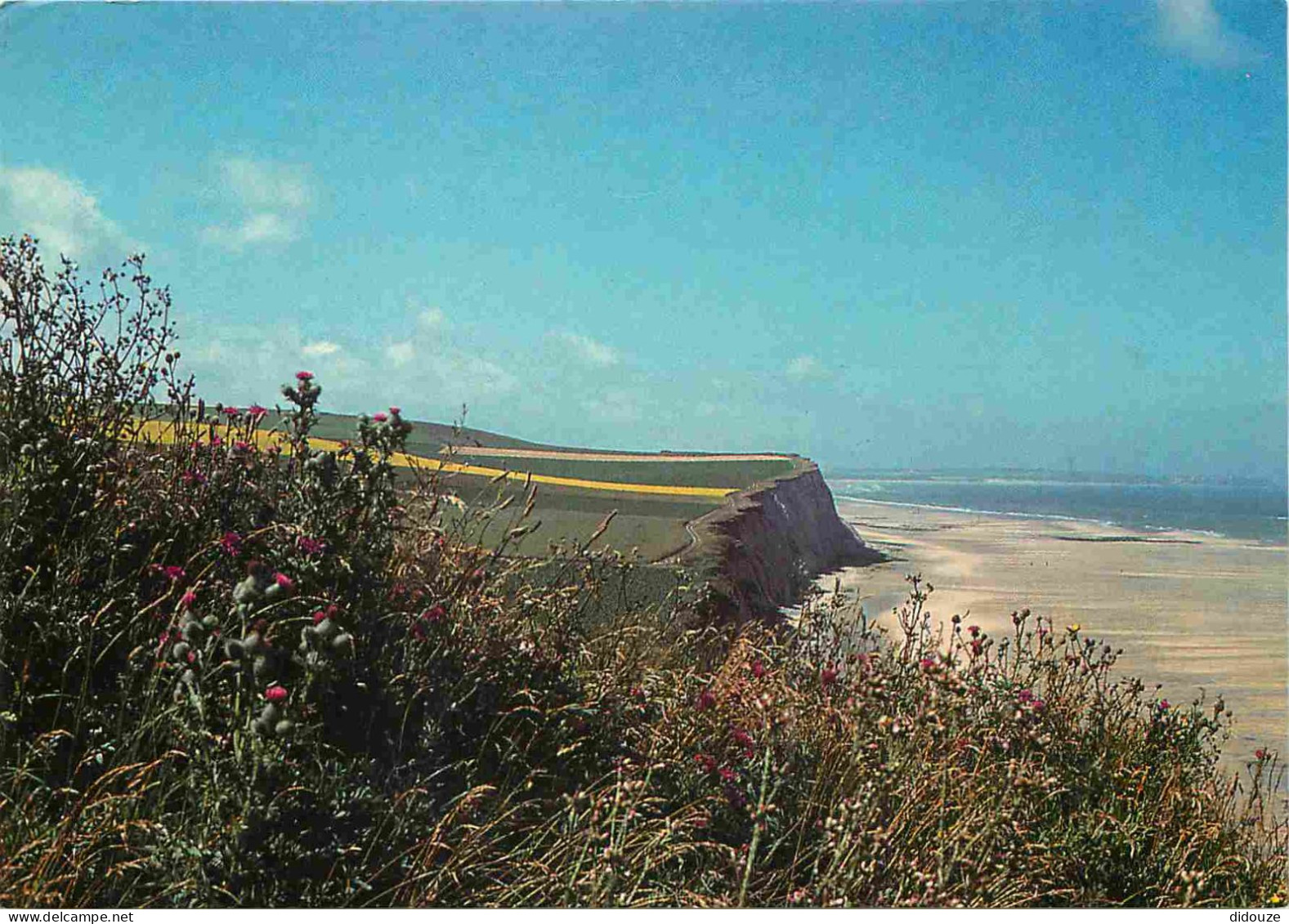 62 - Les Deux Caps - La Baie De Wissant - CPM - Voir Scans Recto-Verso - Other & Unclassified