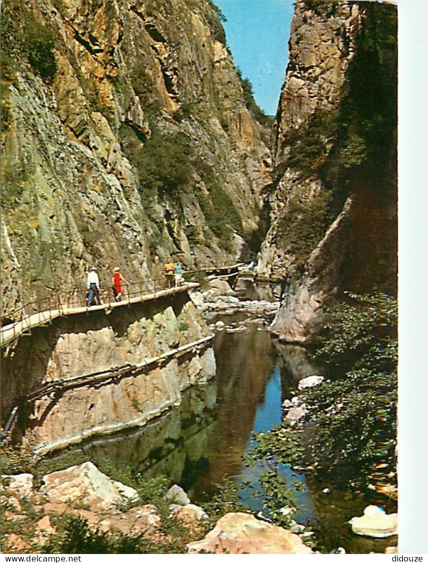 66 - Amélie Les Bains - Les Gorges Du Mondony - CPM - Voir Scans Recto-Verso - Sonstige & Ohne Zuordnung