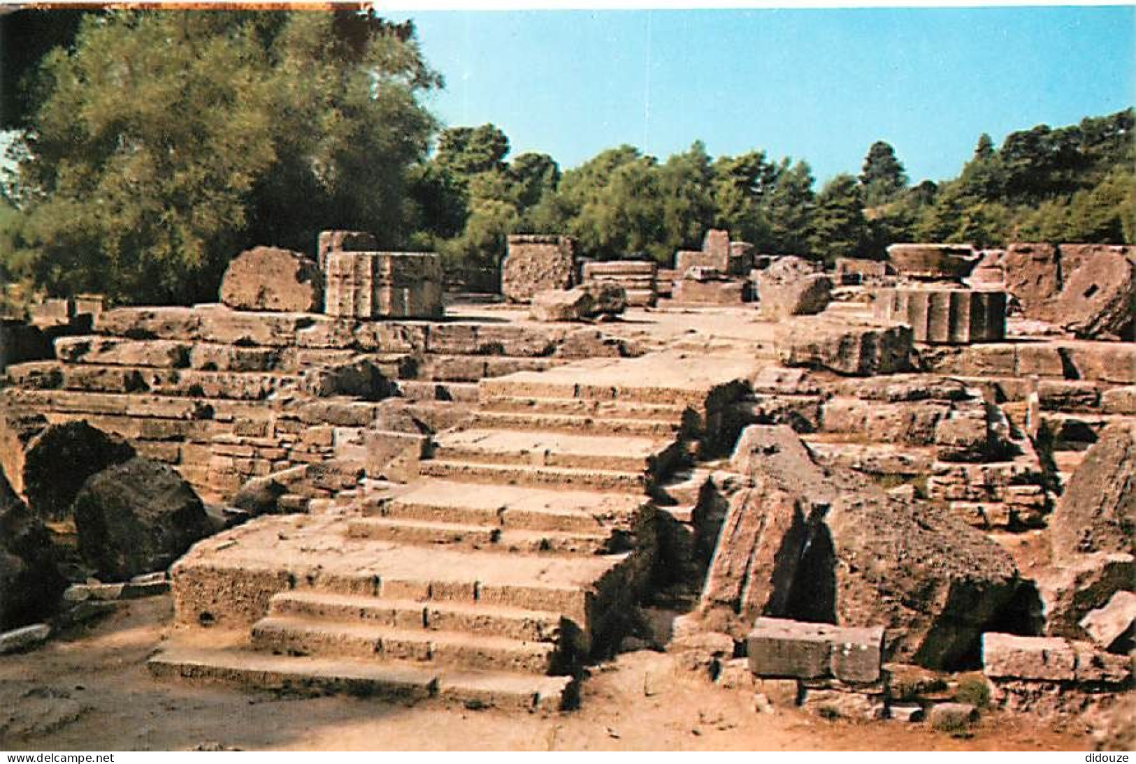 Grèce - Athènes - Athína - Olympie - Le Temple De Zeus - Carte Neuve - CPM - Voir Scans Recto-Verso - Greece