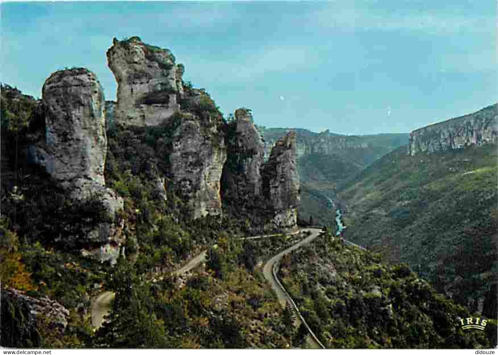 48 - Les Gorges Du Tarn - Aux Environs Des Vignes - Ruines Du Château De Blanquefort - Carte Neuve - CPM - Voir Scans Re - Gorges Du Tarn