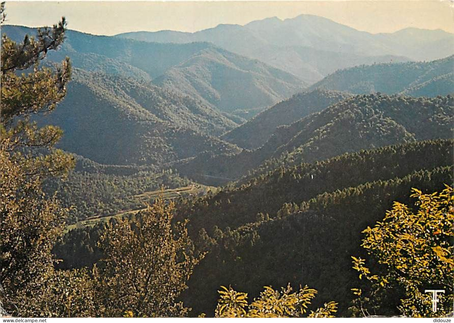 30 - Gard - Les Cévennes - Corniche Des Cévennes. Massif De L'Aigoual Et Vallée De L'Estrechure, Vus Du Col De Saint Pie - Sonstige & Ohne Zuordnung