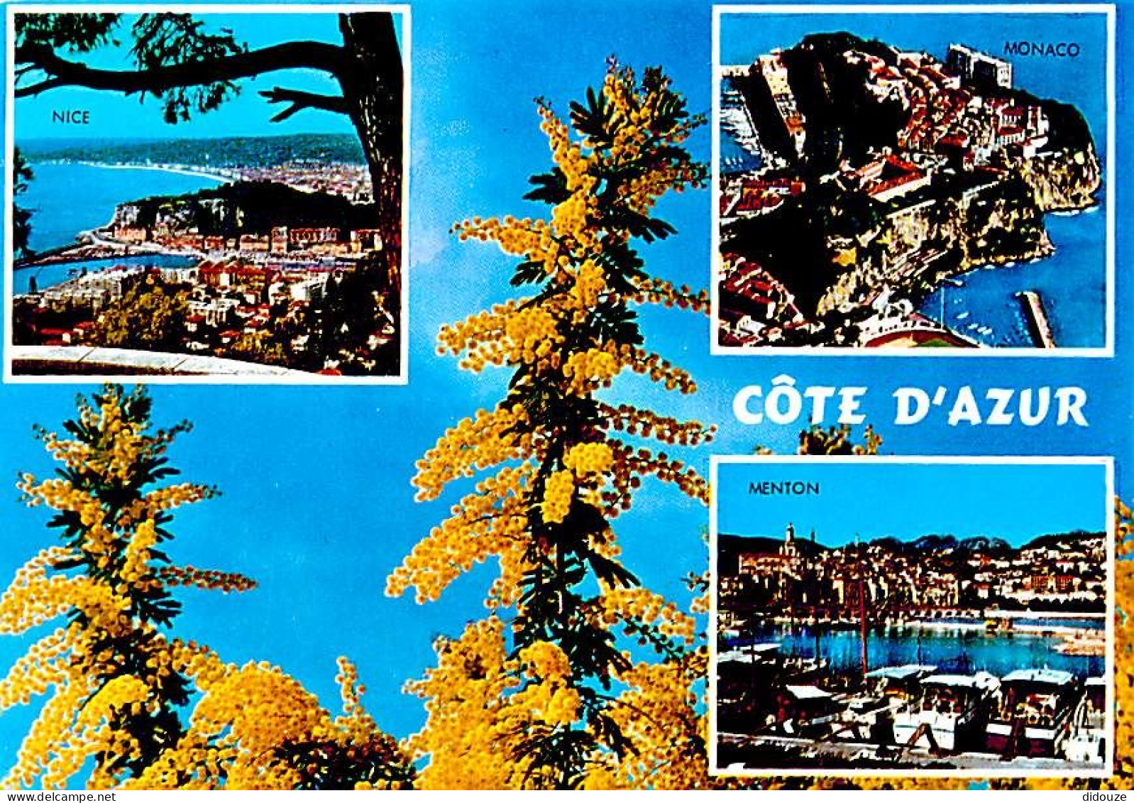 06 - Alpes Maritimes - La Cote D'Azur - Multivues - Mimosas En Fleurs - CPM - Carte Neuve - Voir Scans Recto-Verso - Sonstige & Ohne Zuordnung