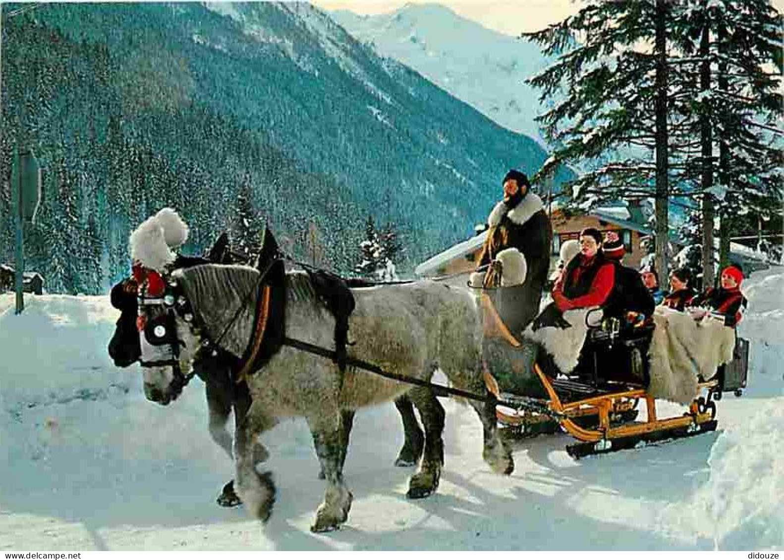 Animaux - Chevaux - Promenade En Traineau - Neige - Voir Scans Recto Verso  - Pferde