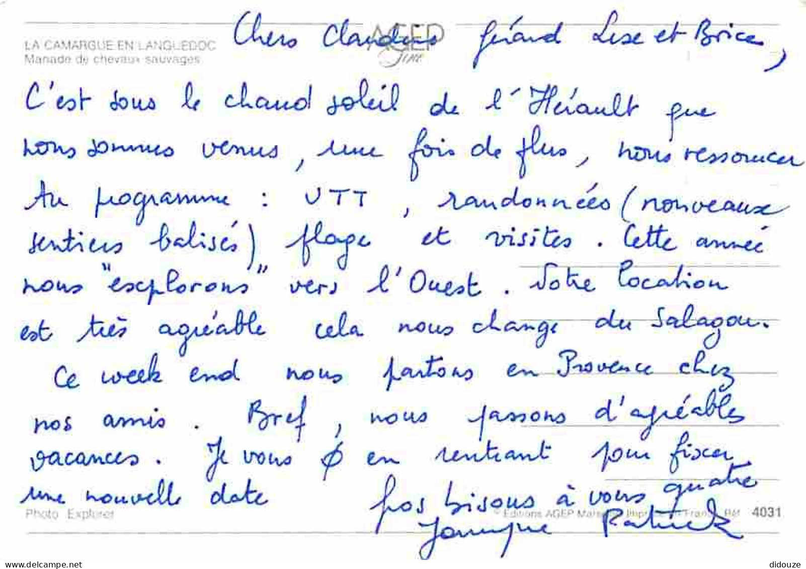 Animaux - Chevaux - La Camargue En Languedoc - Manade De Chevaux Sauvages - CPM - Voir Scans Recto-Verso - Chevaux