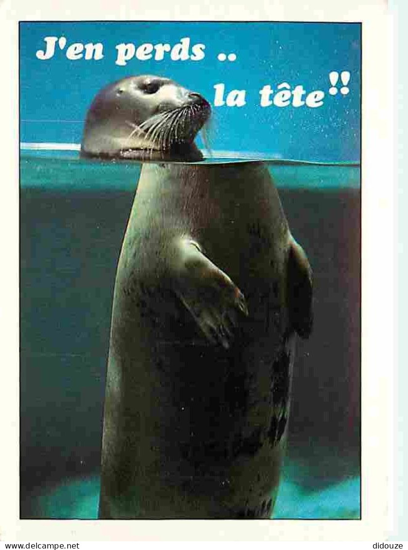 Animaux - Phoques - CPM - Voir Scans Recto-Verso - Autres & Non Classés