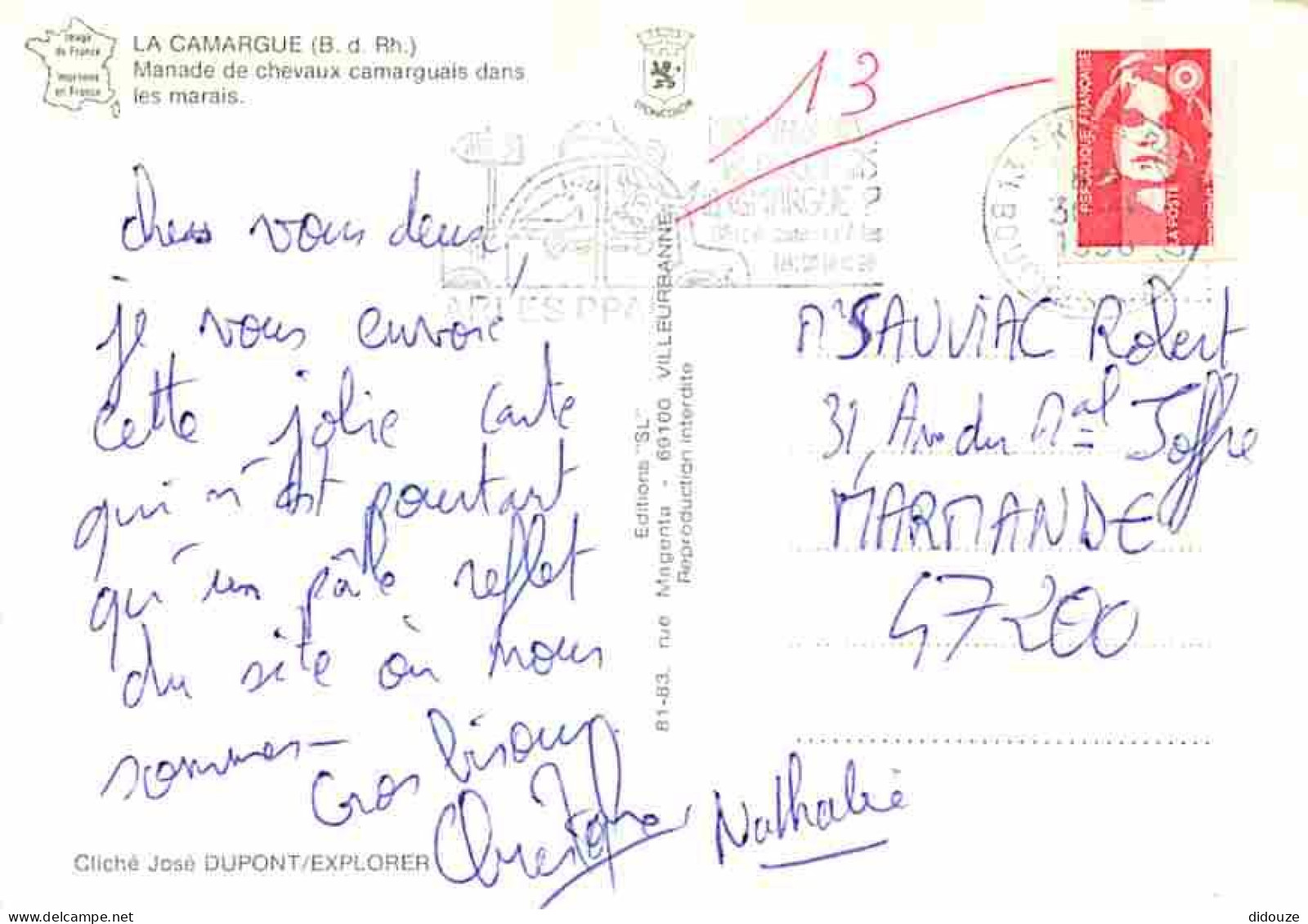 Animaux - Chevaux - Camargue - Manade De Chevaux Camarguais Dans Les Marais - Flamme Postale - CPM - Voir Scans Recto-Ve - Chevaux