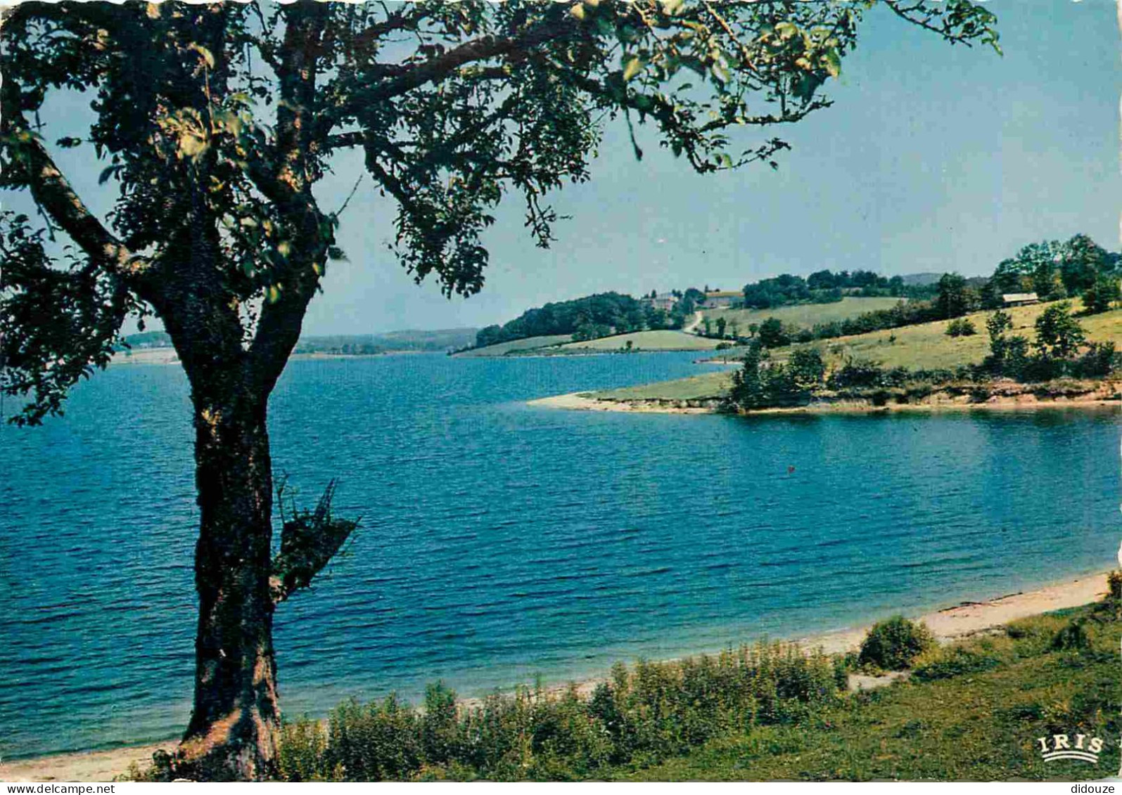 12 - Villefranche De Panat - Le Lac - Carte Dentelée - CPSM Grand Format - Voir Scans Recto-Verso - Autres & Non Classés