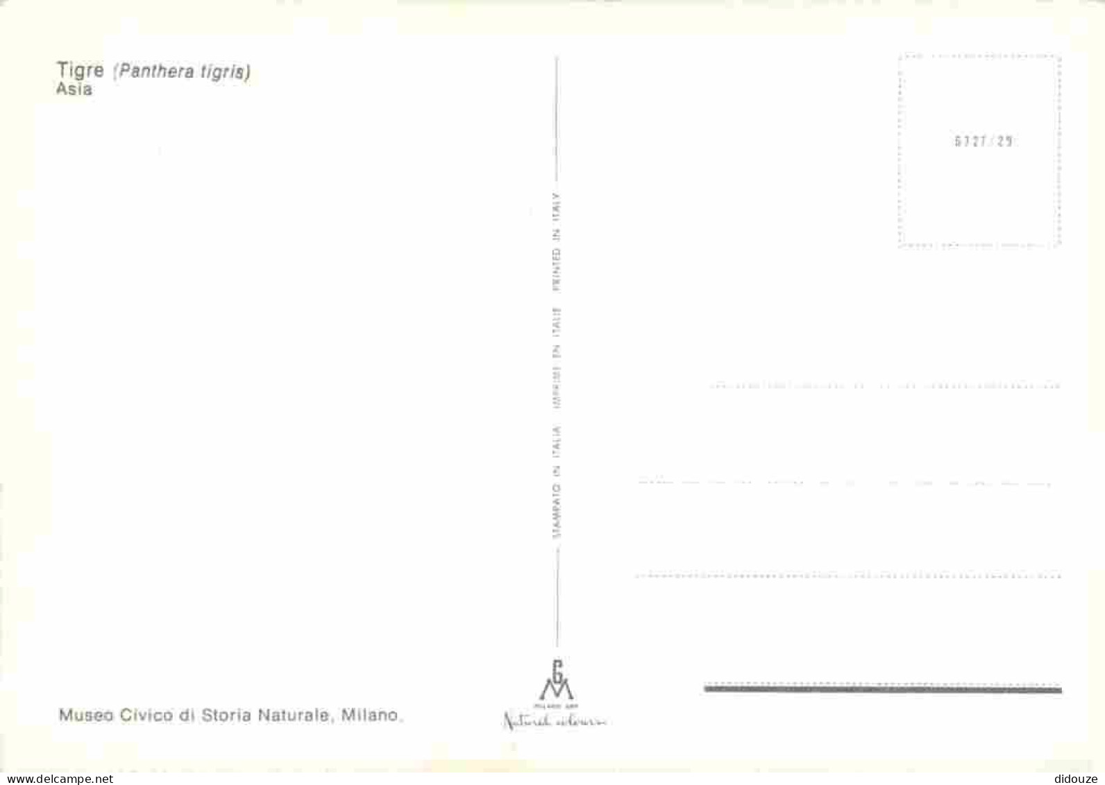 Animaux - Fauves - Tigre - Museo Civico Di Storia Naturale Milano - CPM - Voir Scans Recto-Verso - Tiger