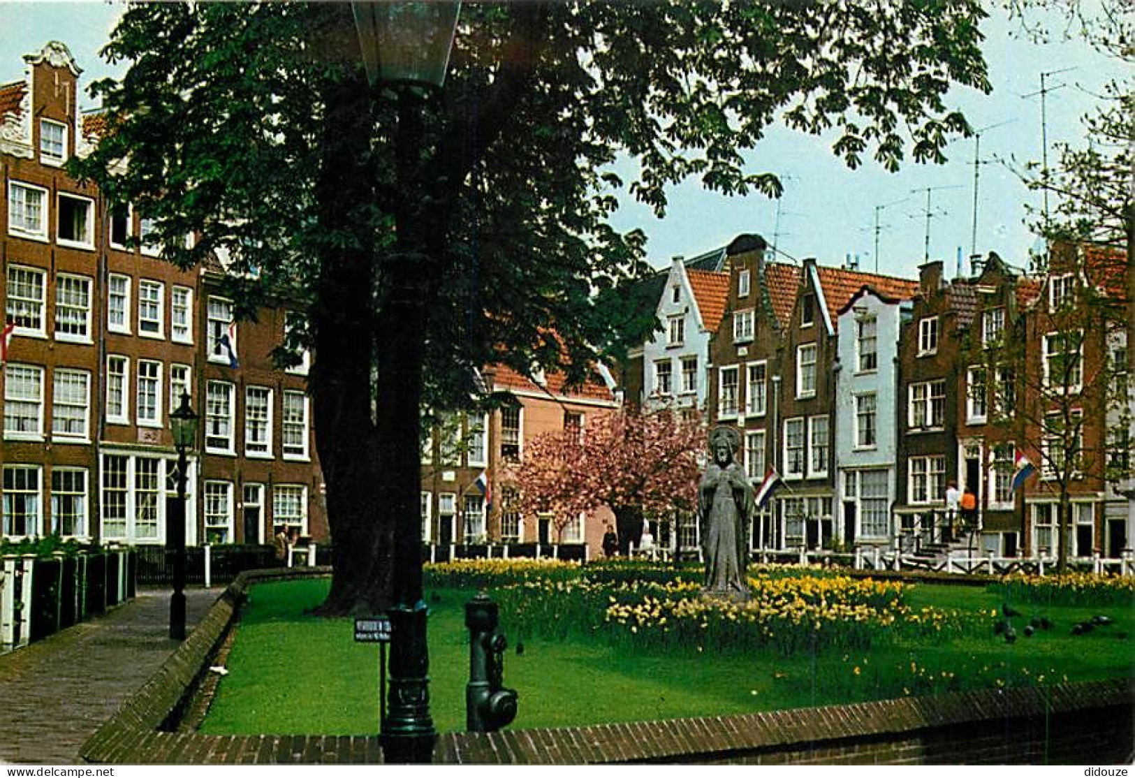 Pays-Bas - Nederland - Amsterdam - CPM - Voir Scans Recto-Verso - Amsterdam