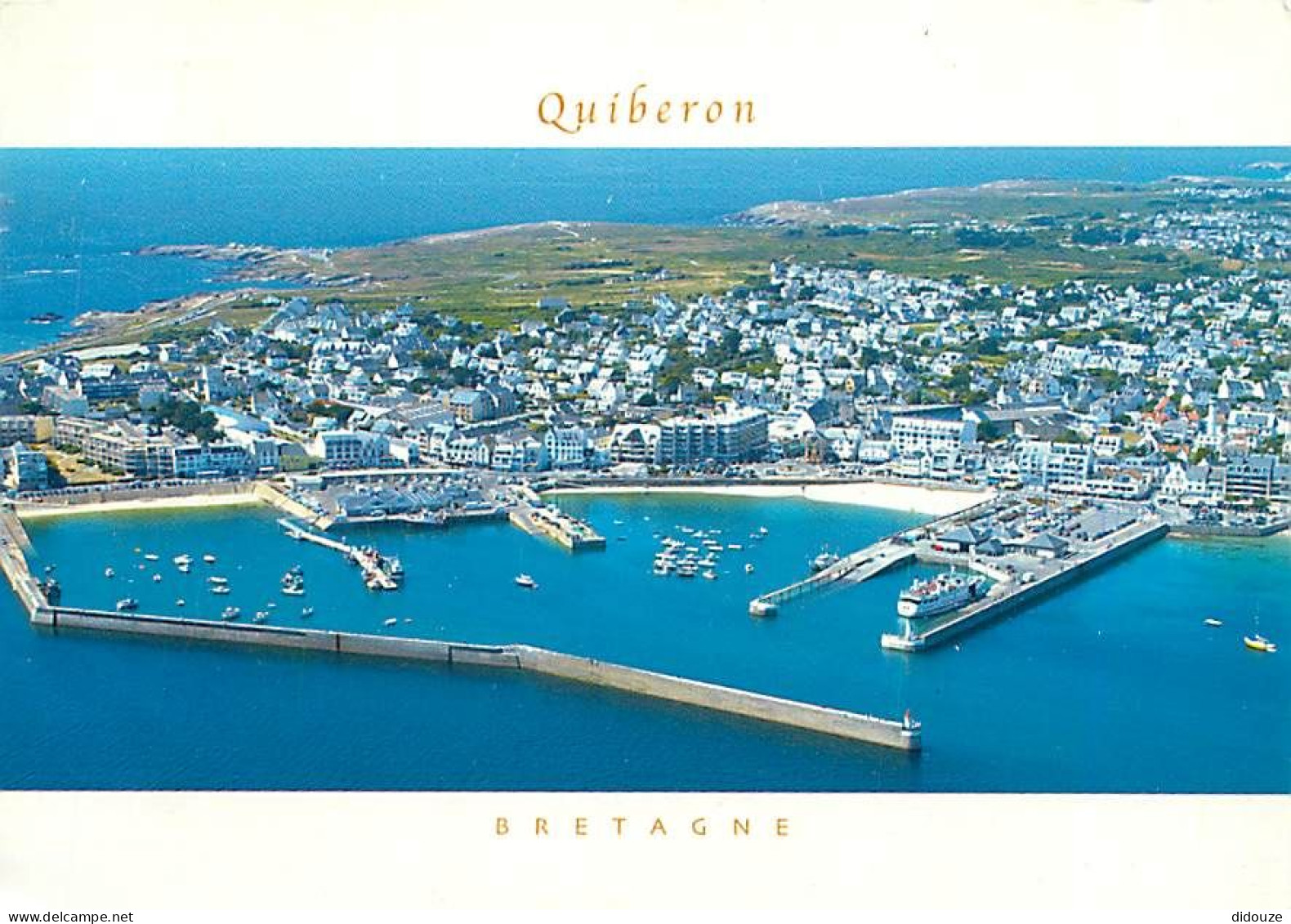 56 - Presqu'Ile De Quiberon - CPM - Voir Scans Recto-Verso - Quiberon