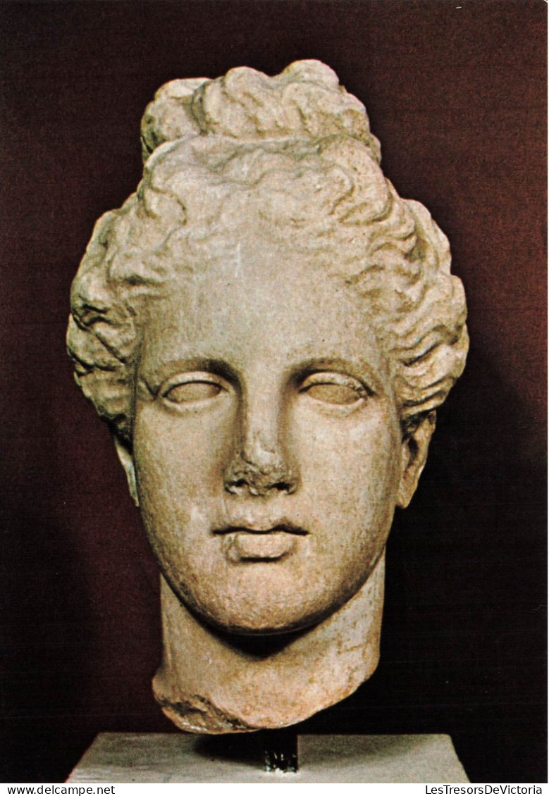 CHYPRE - Musée De Chypre - Tête D'Aphrodite En Marbre De Salamis - Colorisé - Carte Postale - Chypre