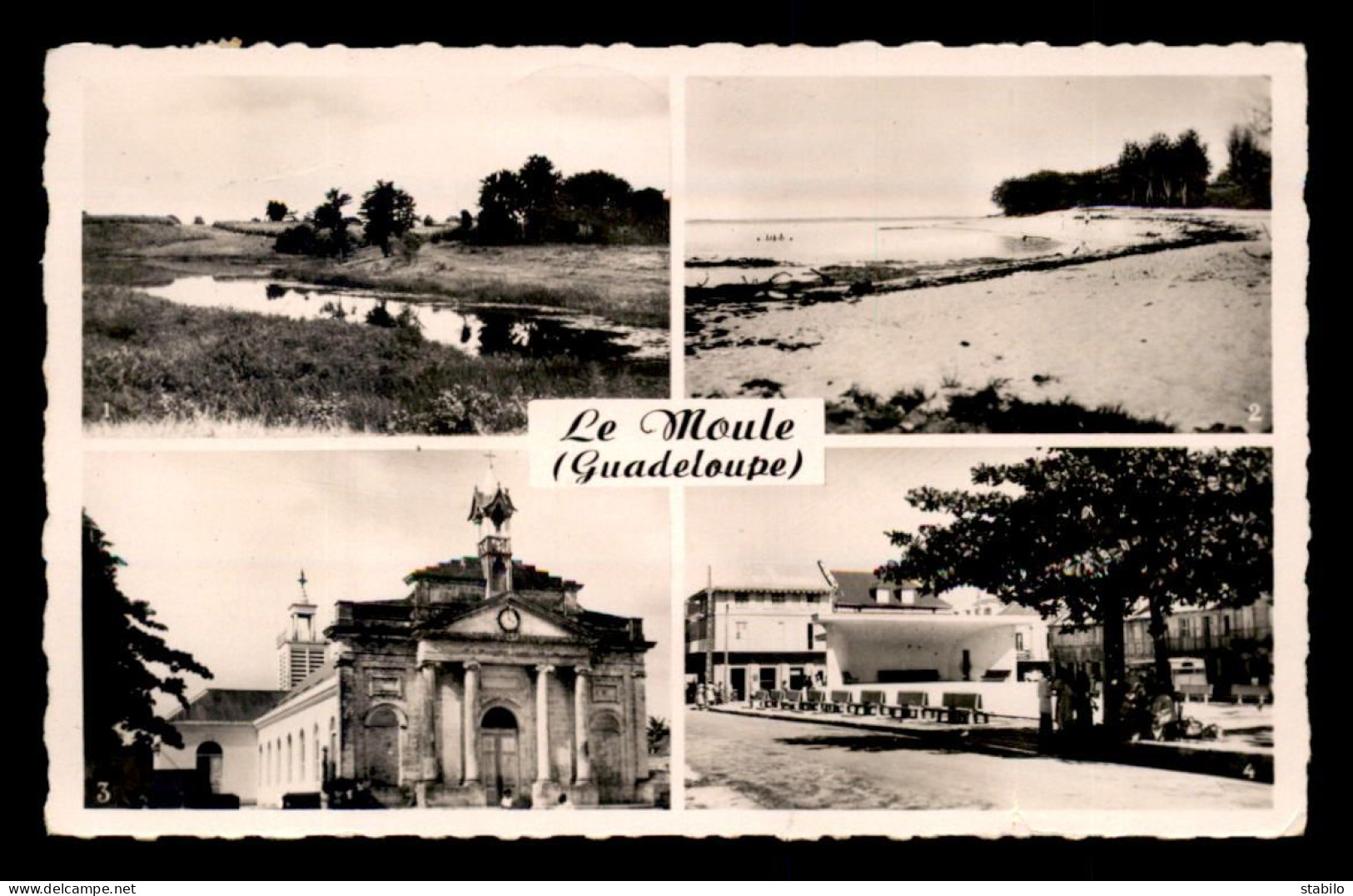 GUADELOUPE - LE MOULE - MULTIVUES - Other & Unclassified