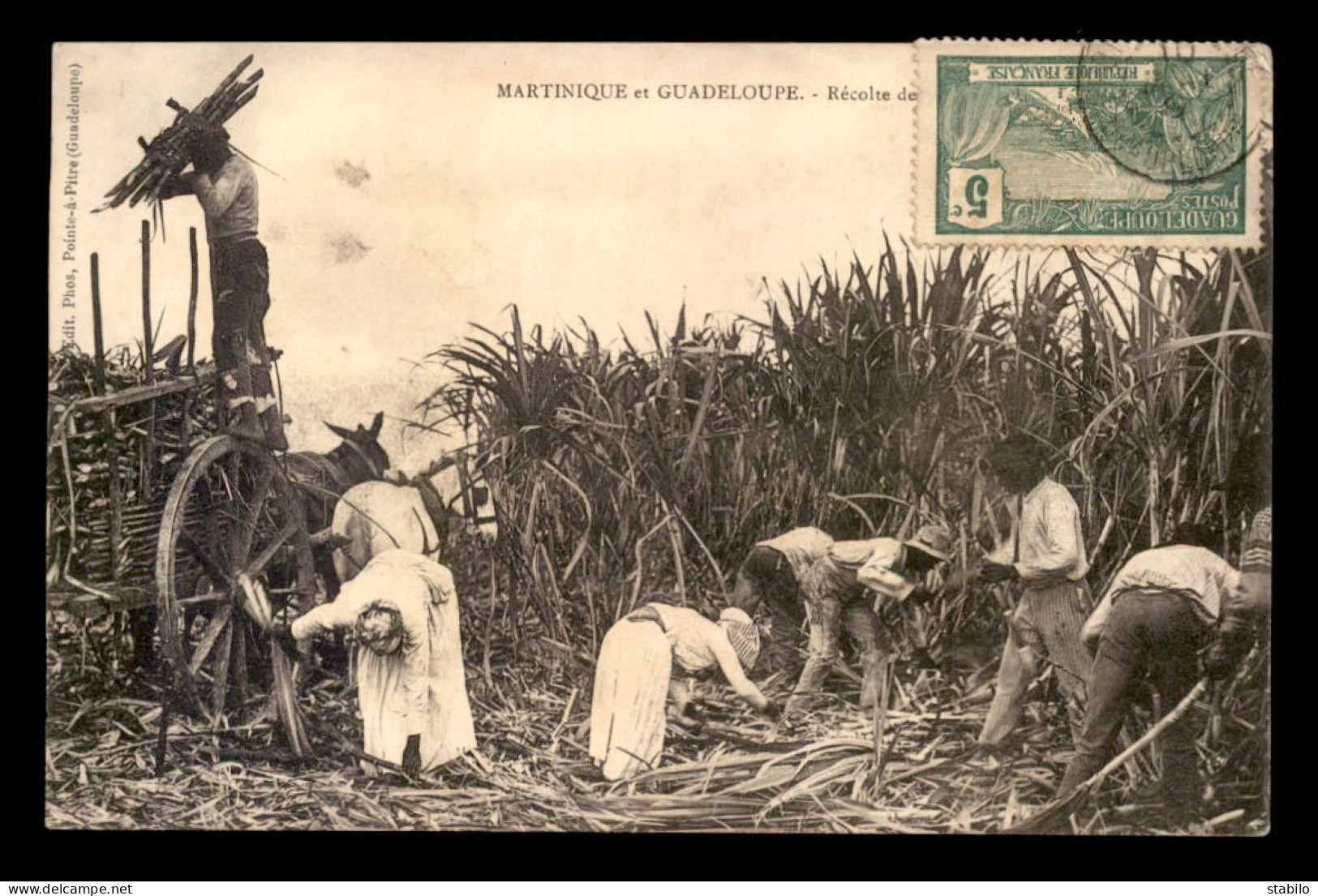 GUADELOUPE ET MARTINIQUE - RECOLTE DE LA CANNE A SUCRE - Sonstige & Ohne Zuordnung