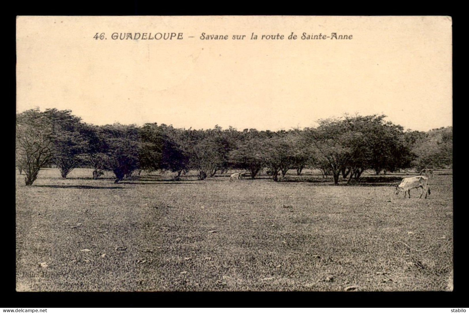 GUADELOUPE - SAVANE SUR LA ROUTE DE STE-ANNE - VOIR TIMBRES - Sonstige & Ohne Zuordnung