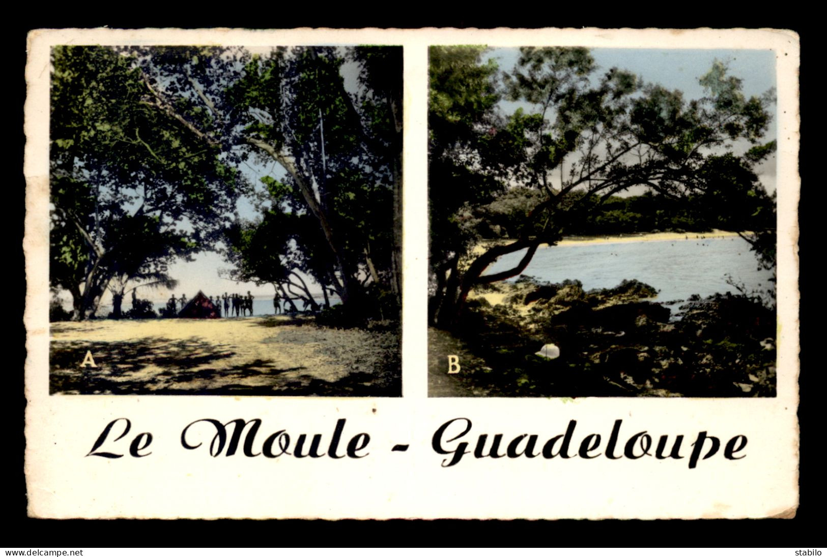 GUADELOUPE - LE MOULE - PLAGE DE LA BAIE ET CAMPING - Other & Unclassified