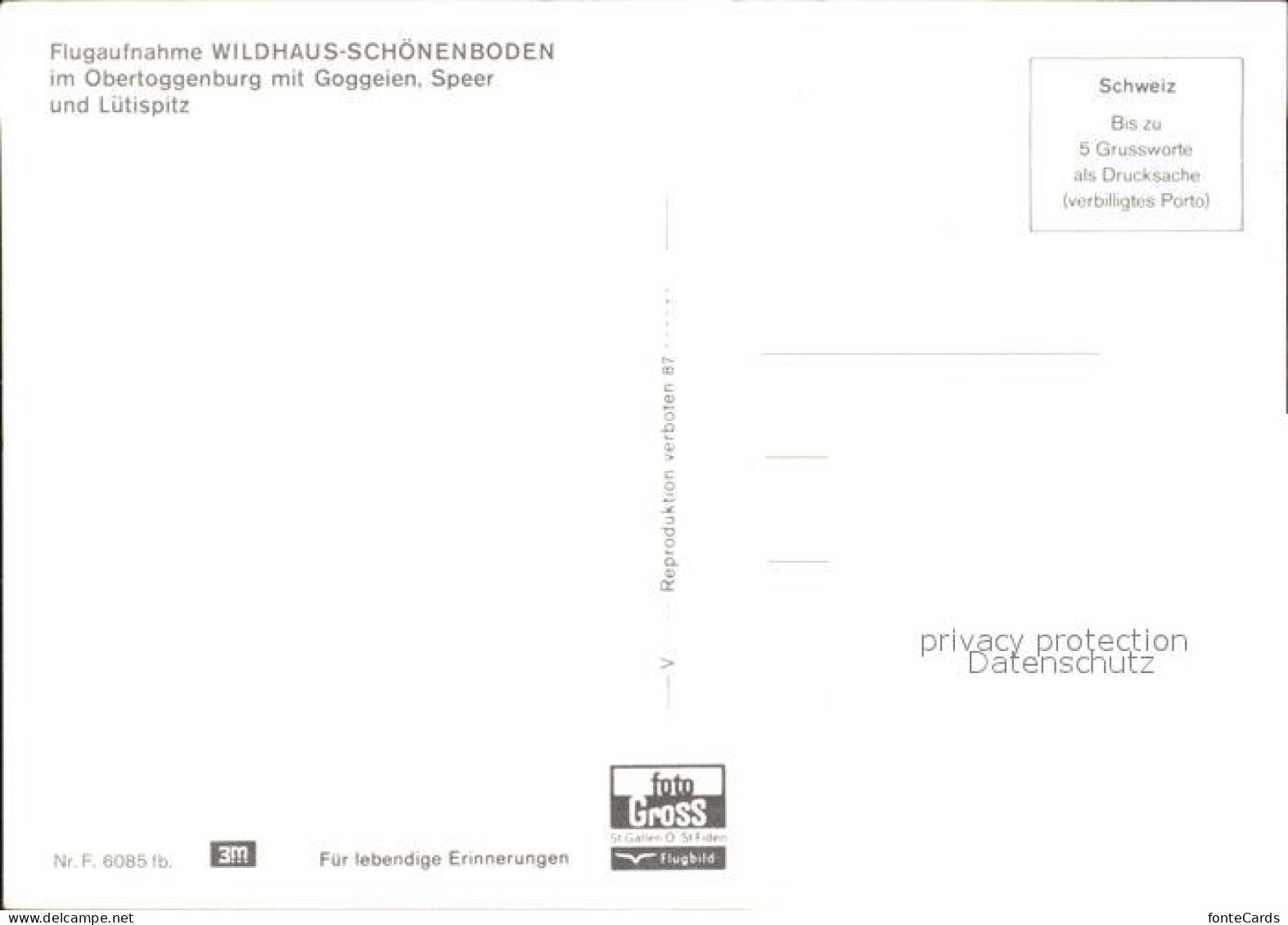 11865457 Wildhaus SG Schoenenboden Mit Goggeien Speer Und Luetispitz Fliegeraufn - Sonstige & Ohne Zuordnung